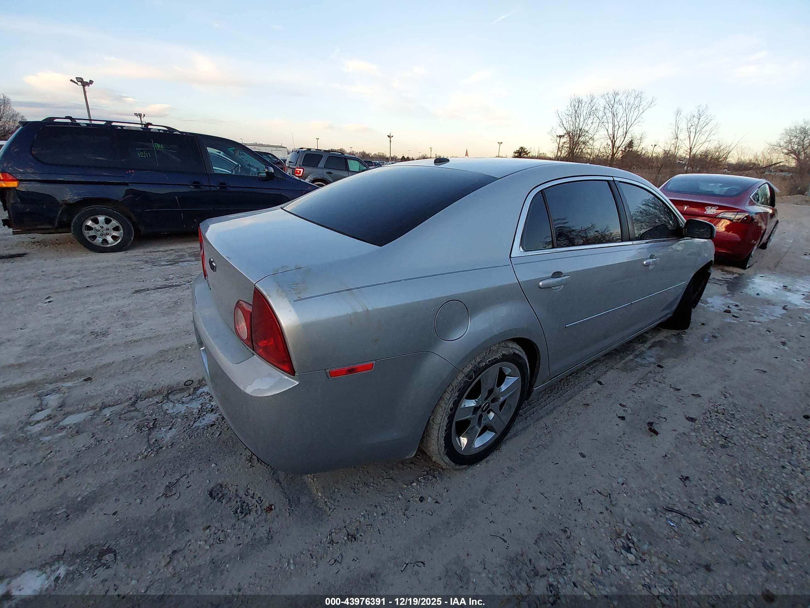 CHEVROLET MALIBU image 4