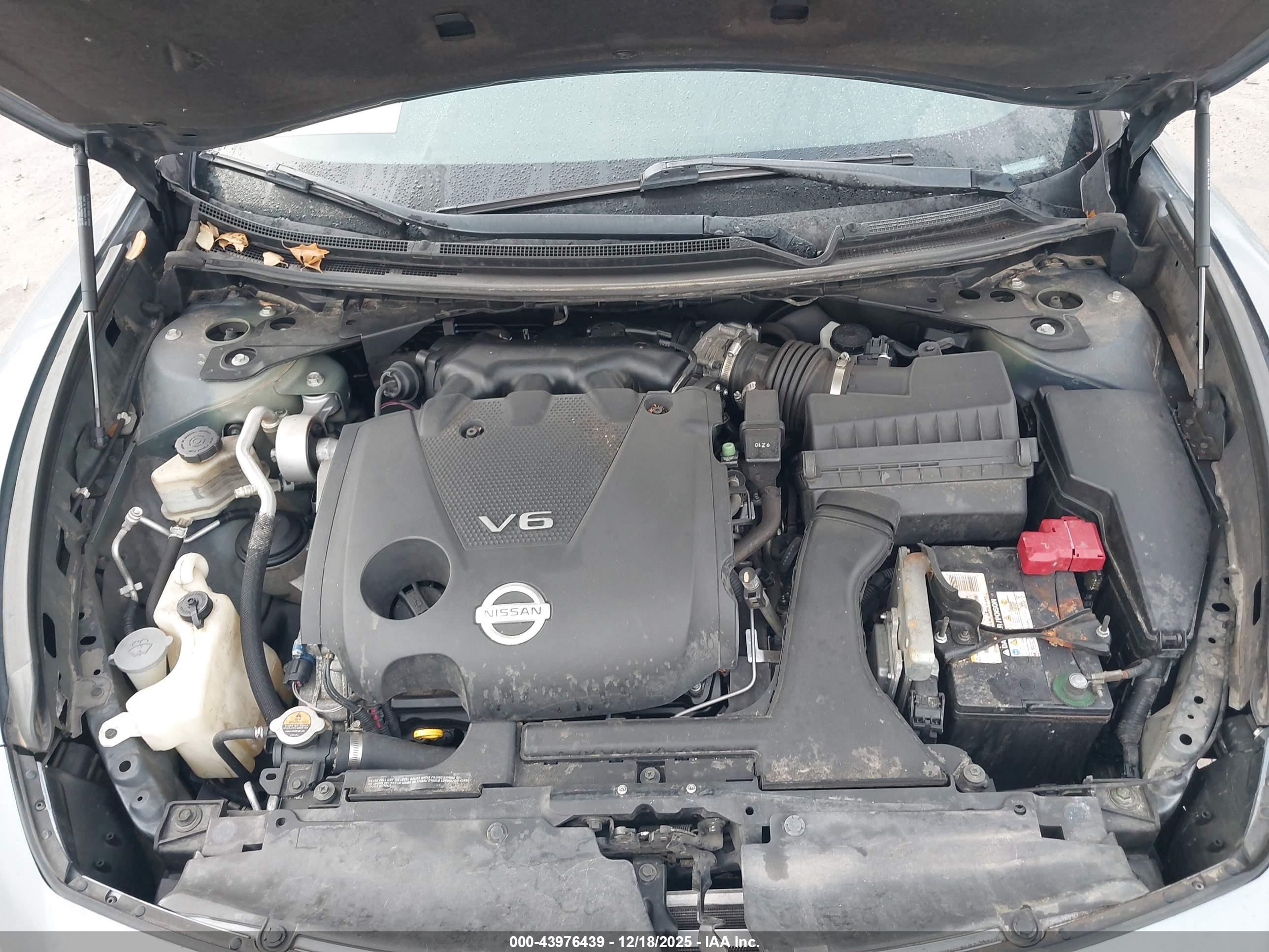 NISSAN MAXIMA image 10