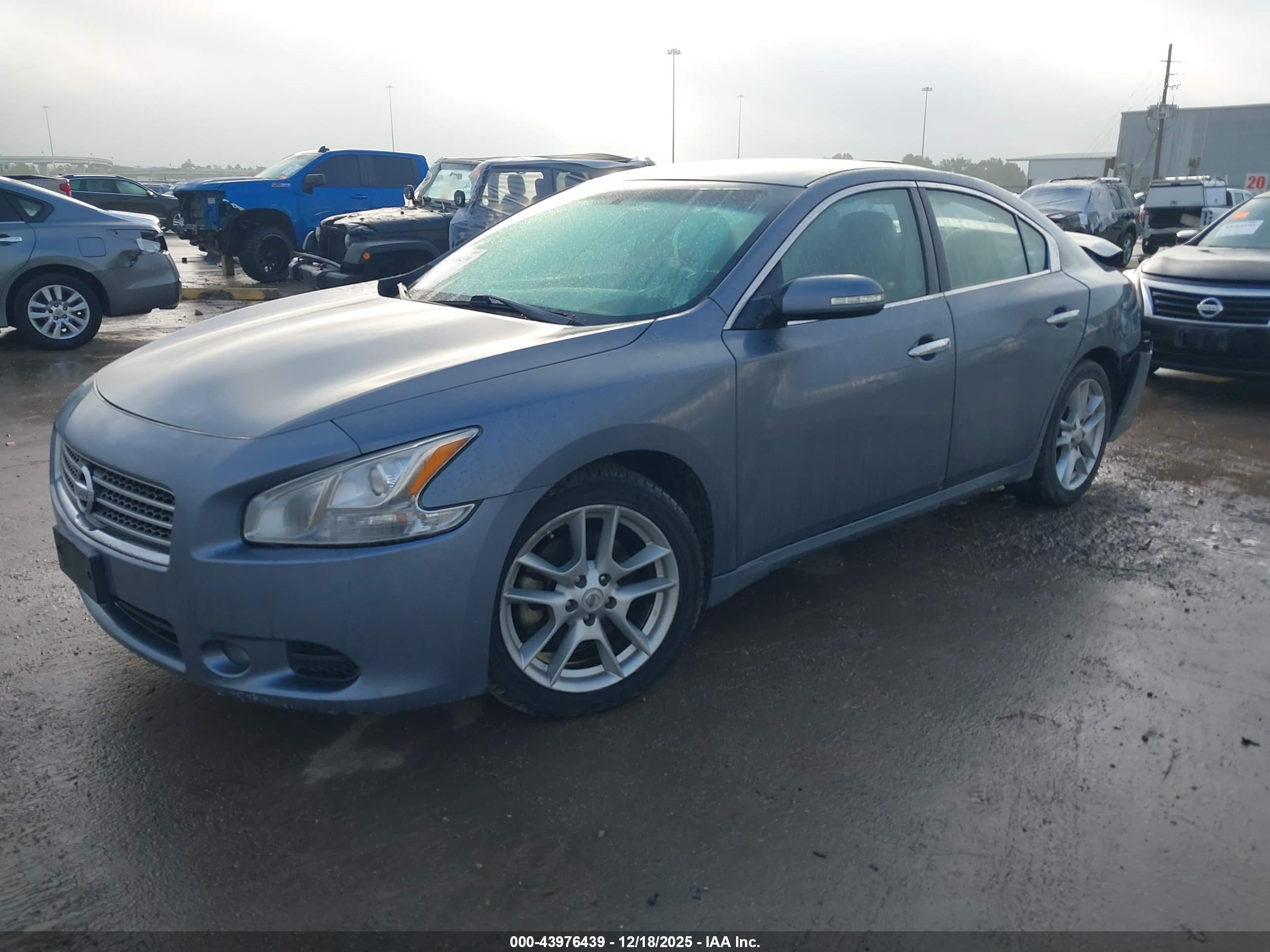 NISSAN MAXIMA image 2