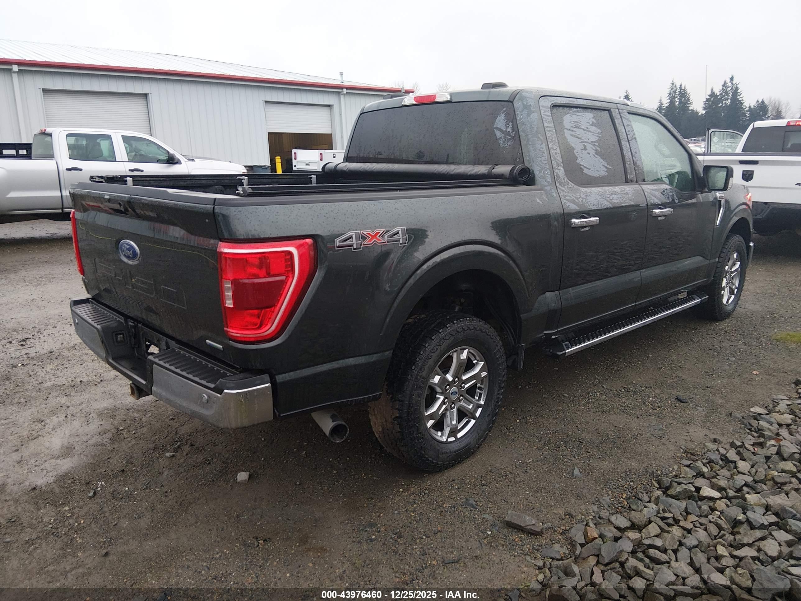 FORD F-150 image 4