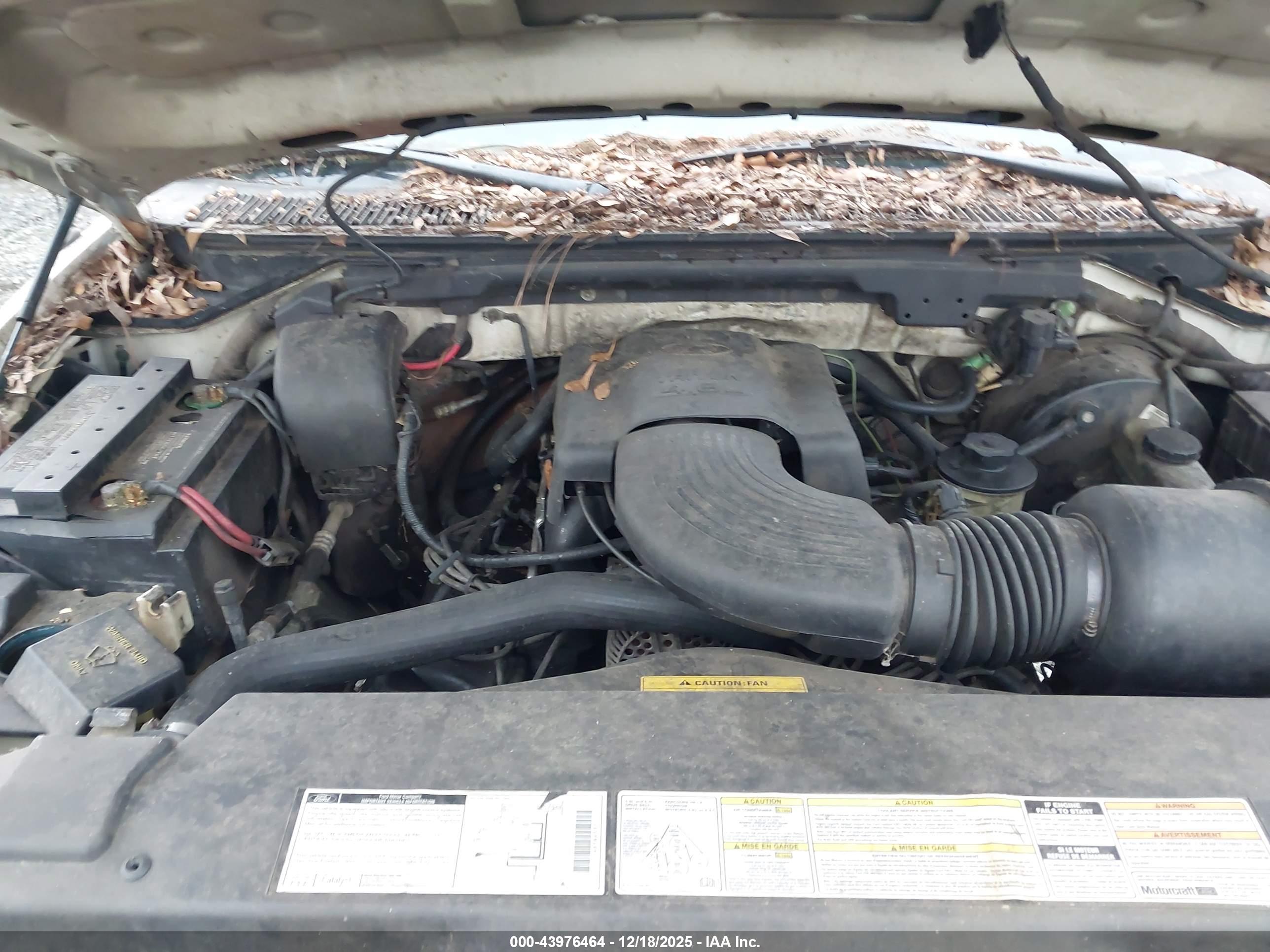 FORD F-150 image 10