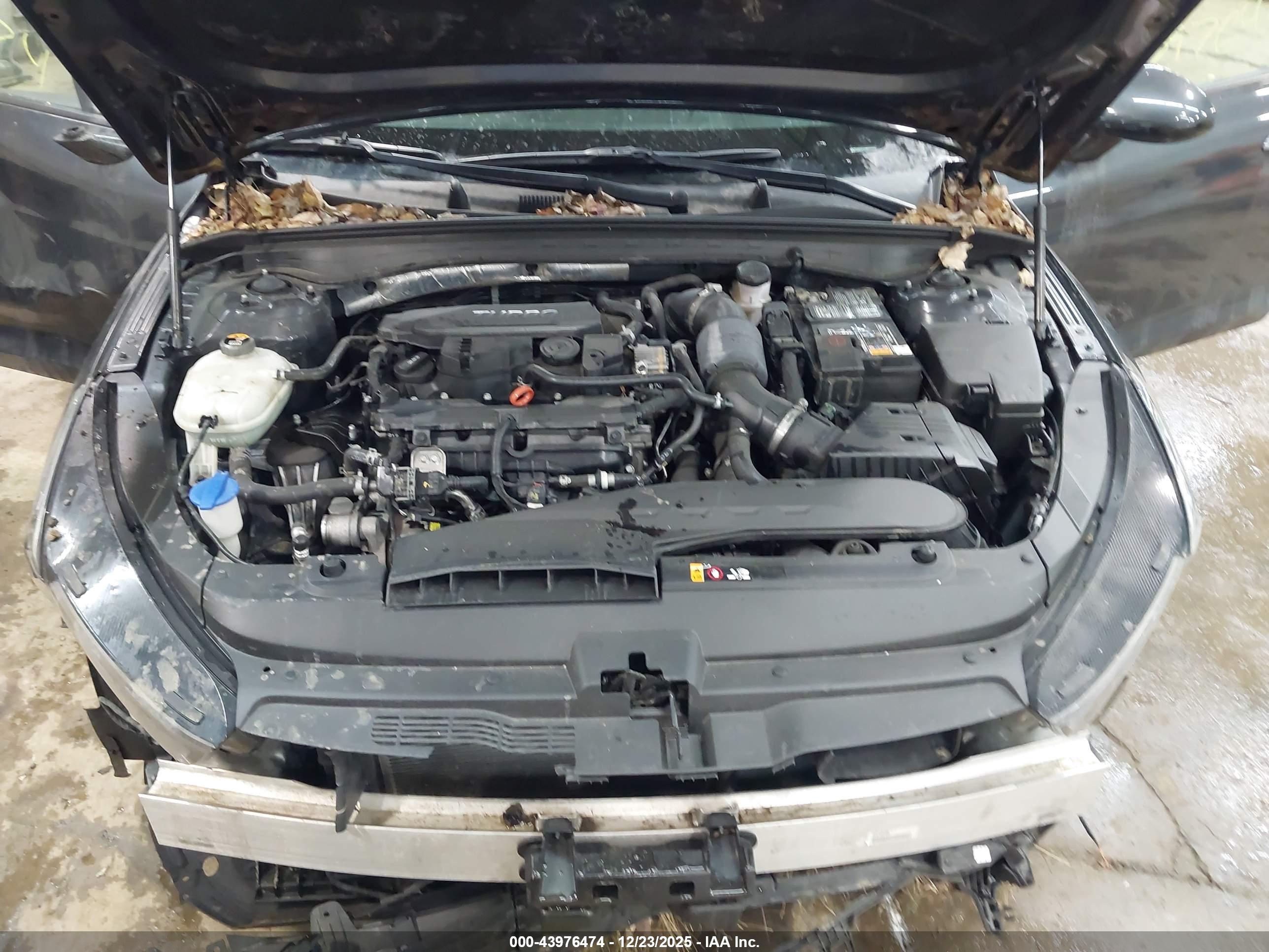 KIA K5 image 10