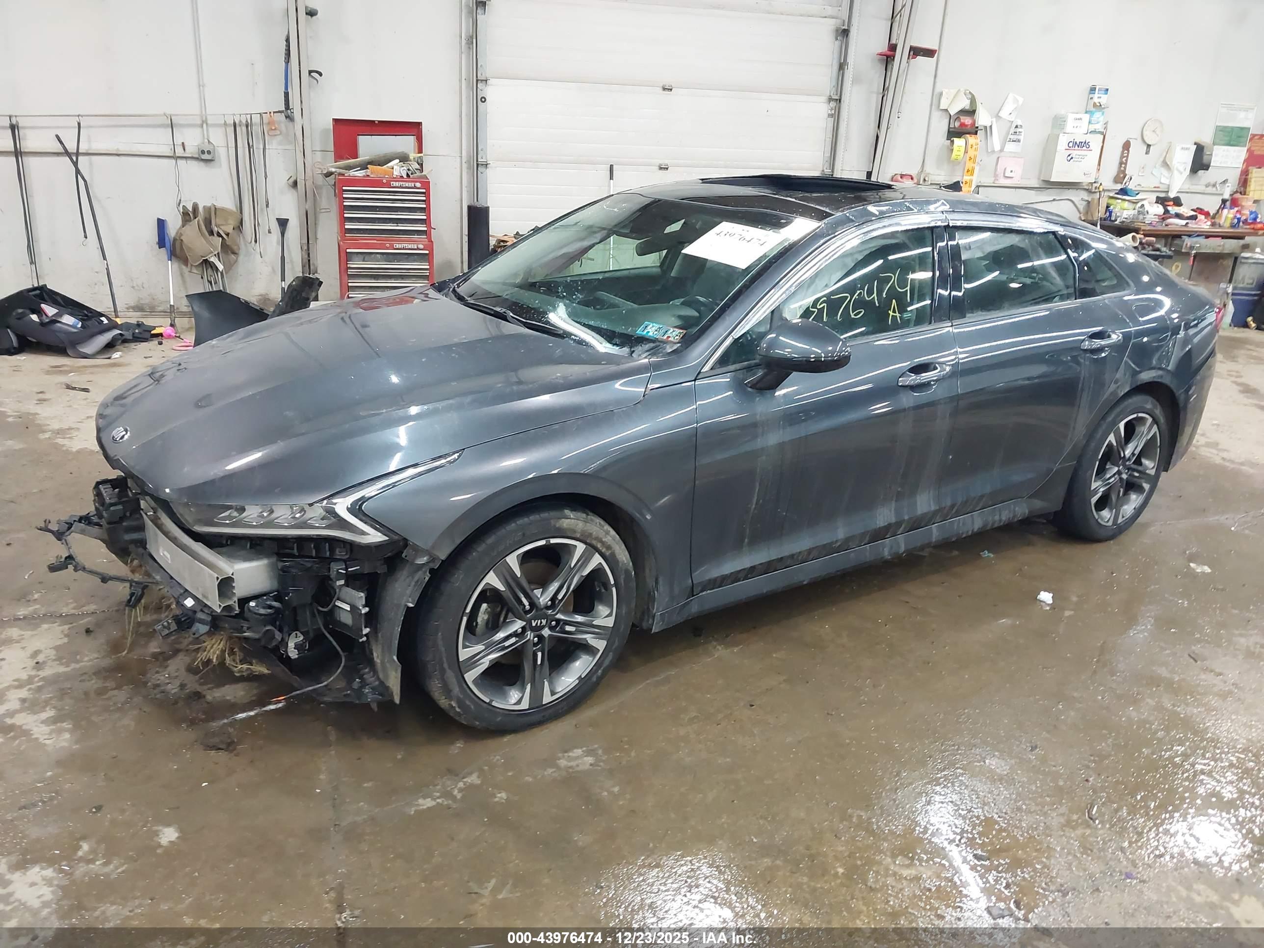 KIA K5 image 2
