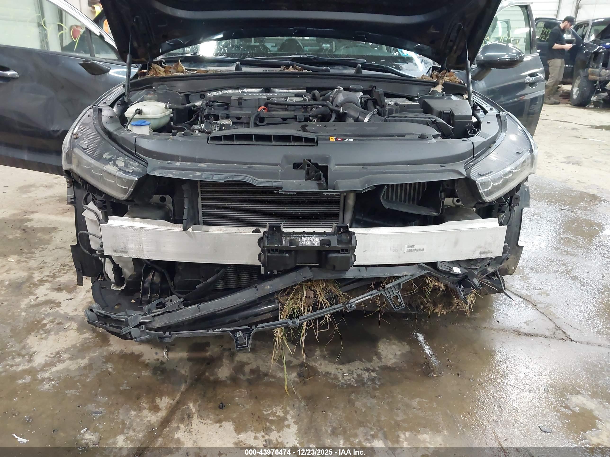 KIA K5 image 6