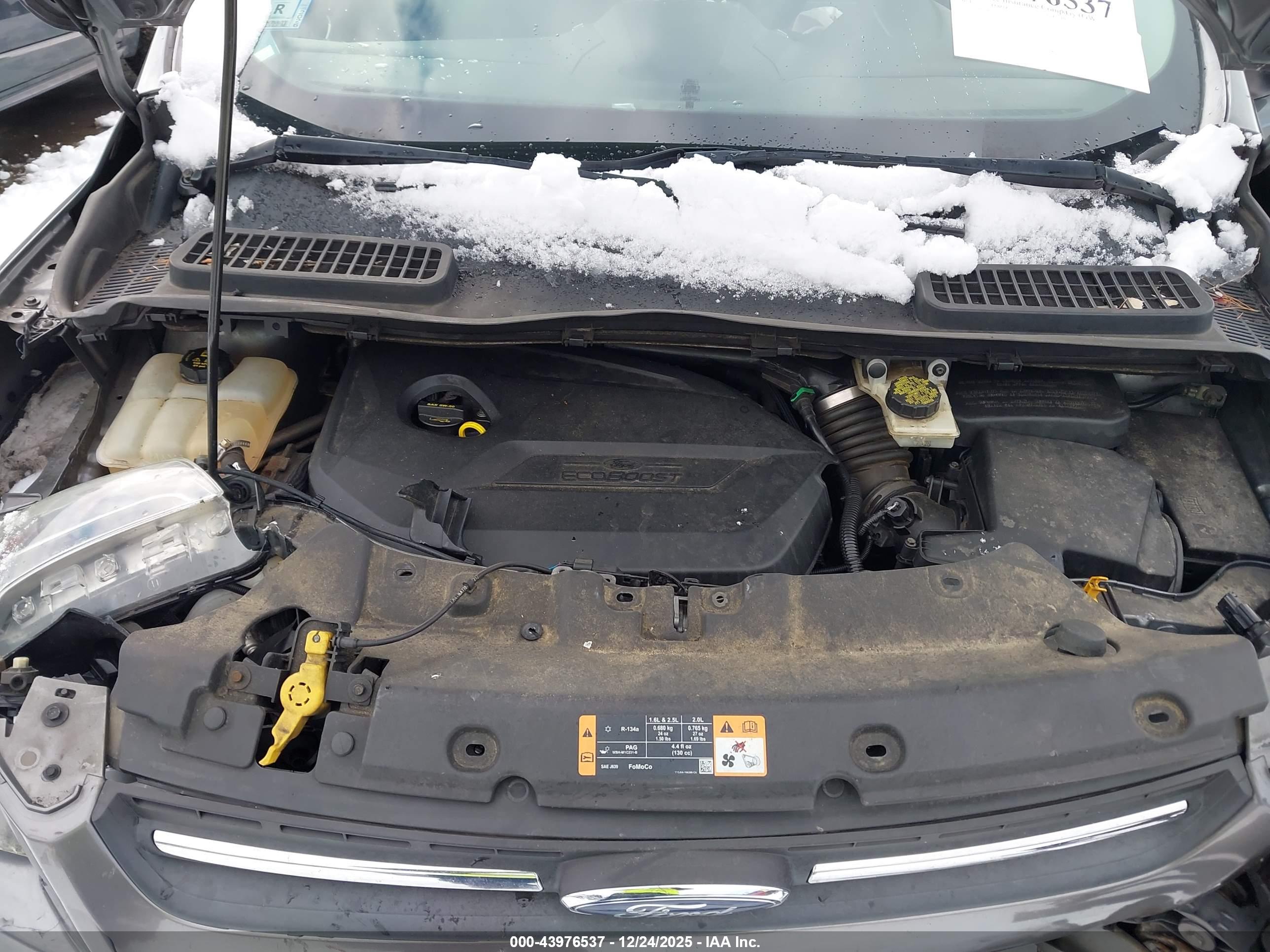 FORD ESCAPE image 10