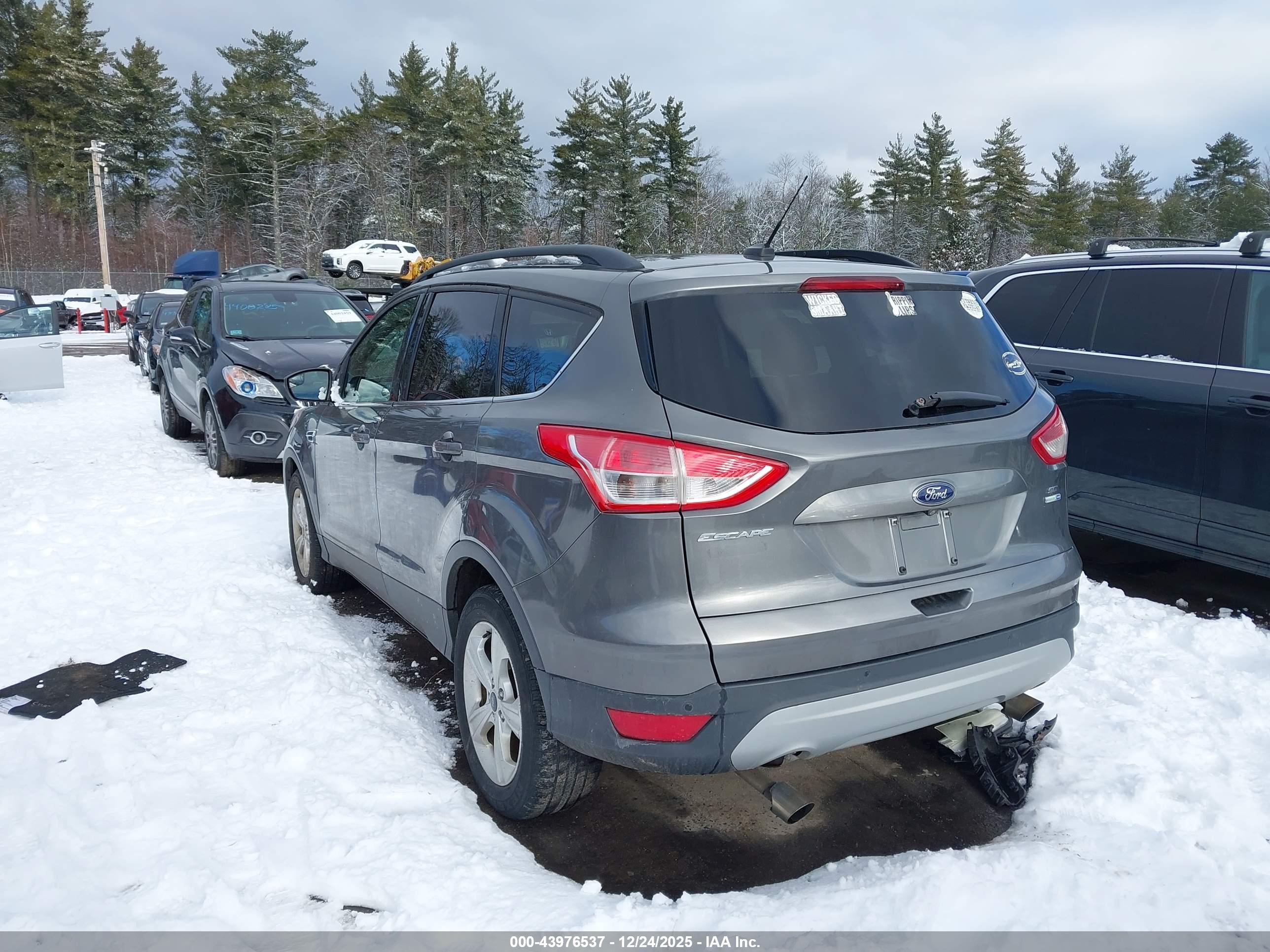FORD ESCAPE image 3