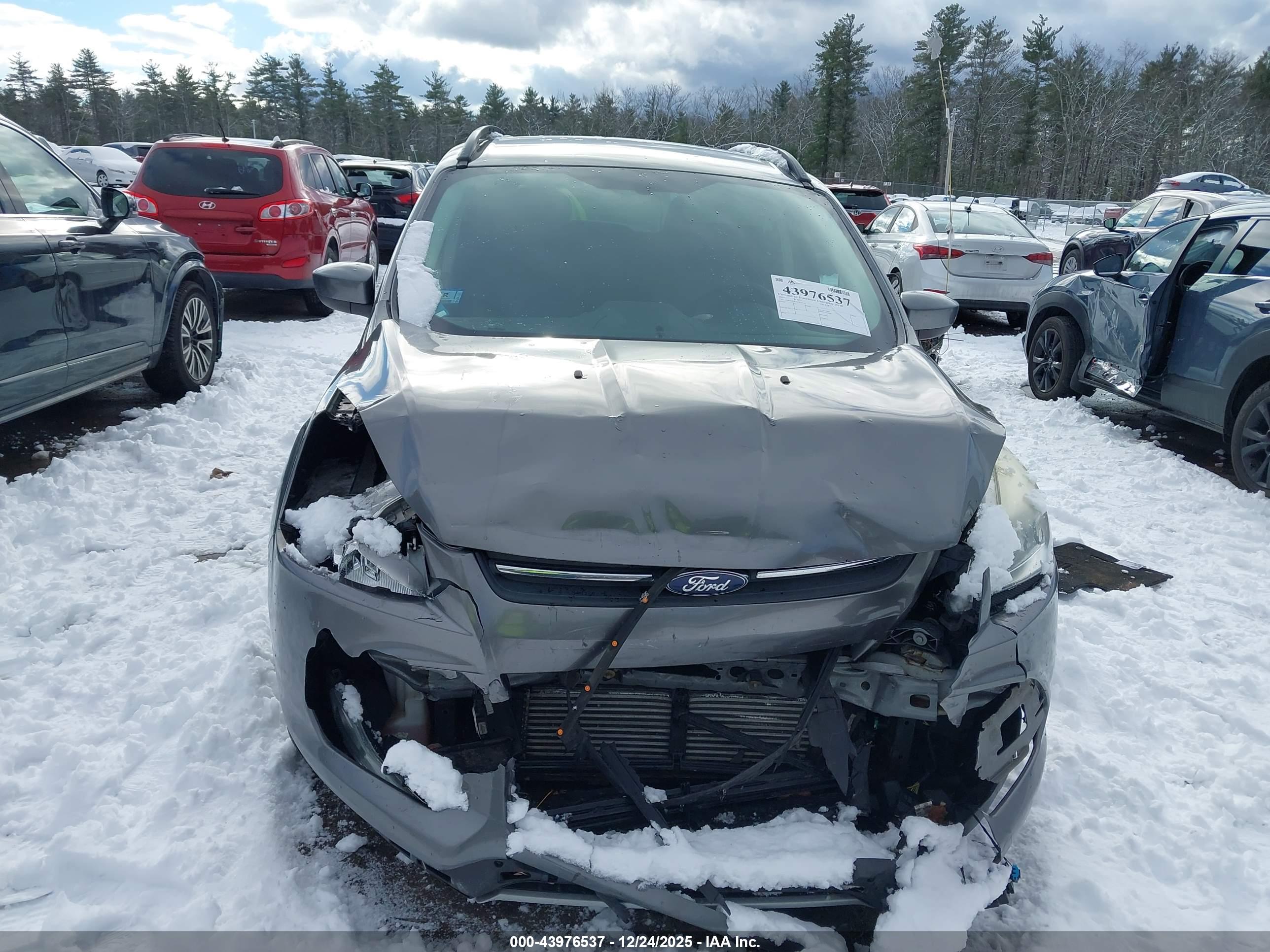 FORD ESCAPE image 6