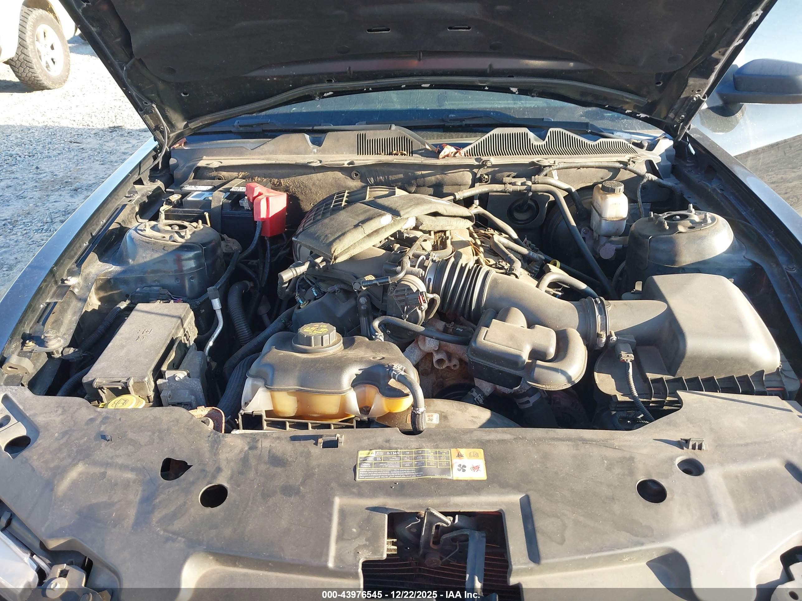 FORD MUSTANG image 10