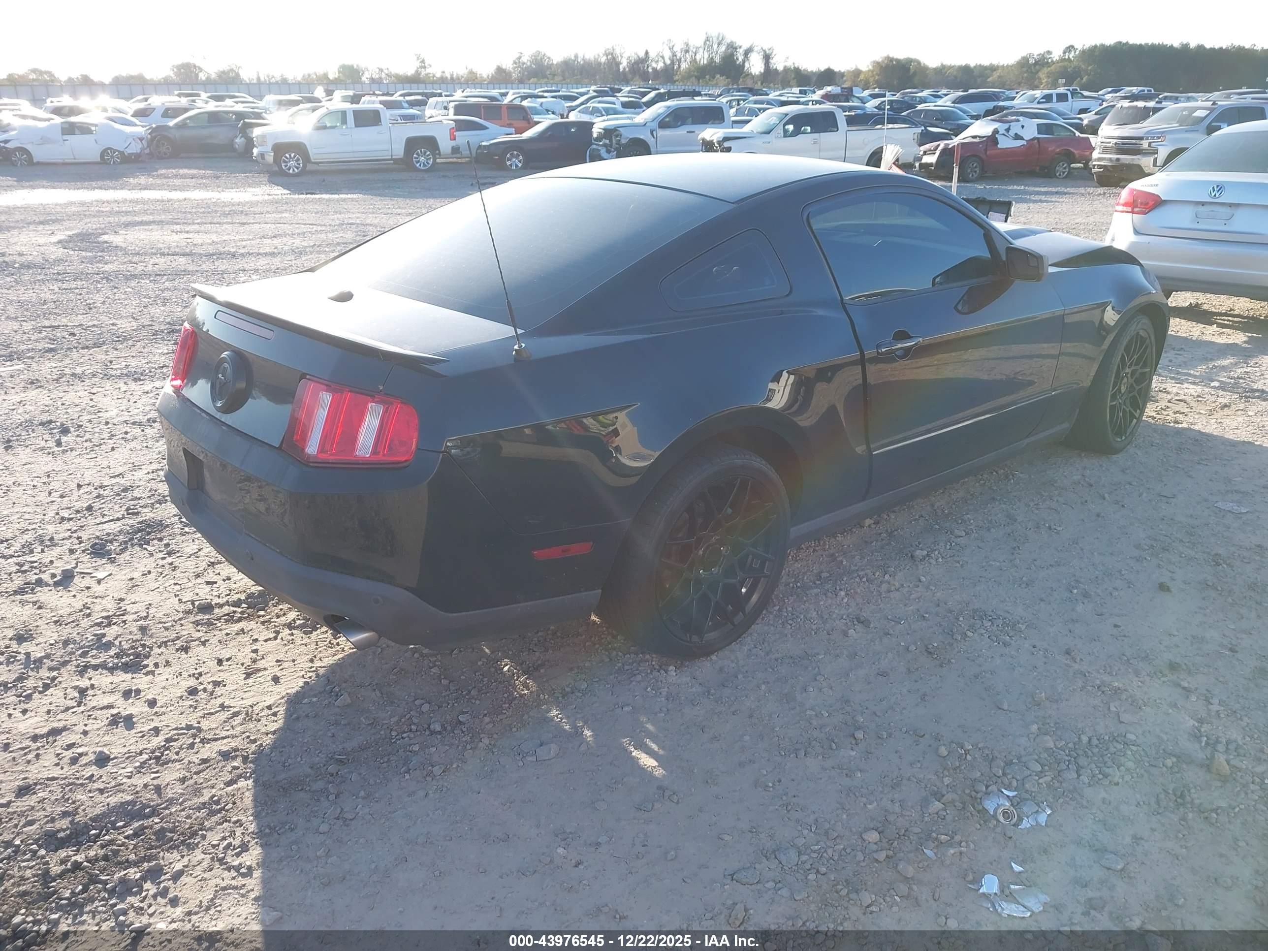 FORD MUSTANG image 4