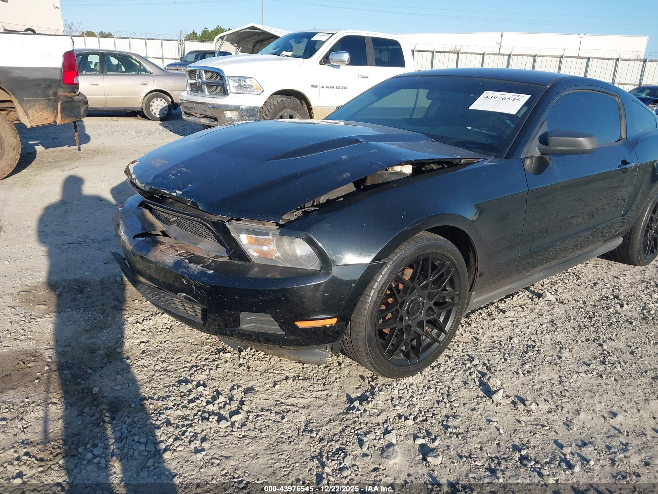 FORD MUSTANG image 6