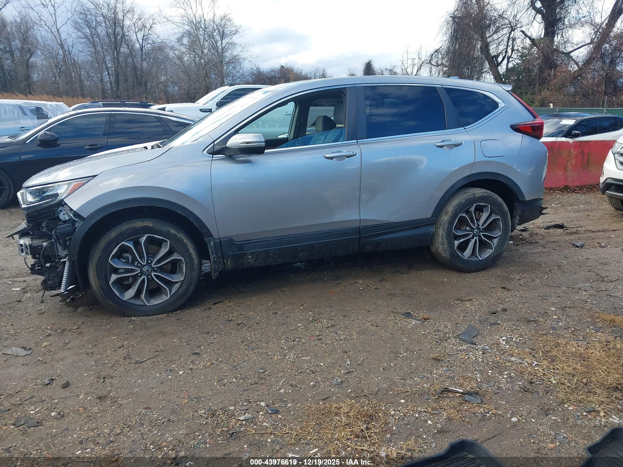 HONDA CR-V image 2