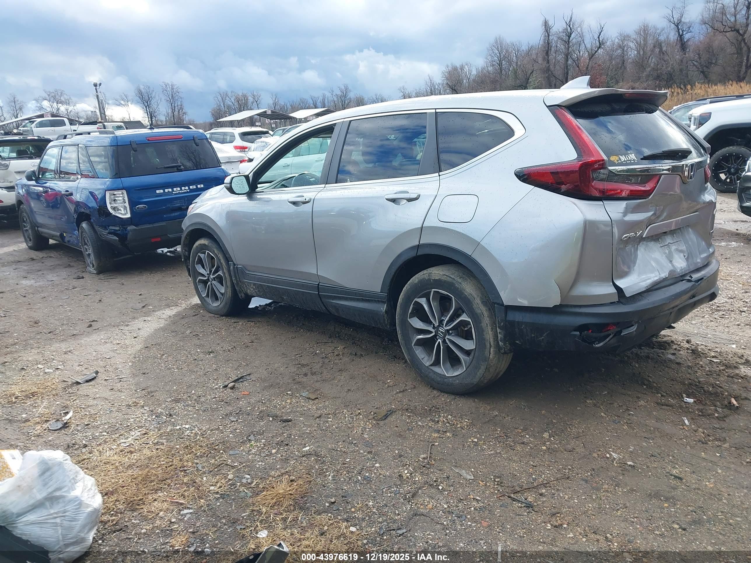 HONDA CR-V image 3