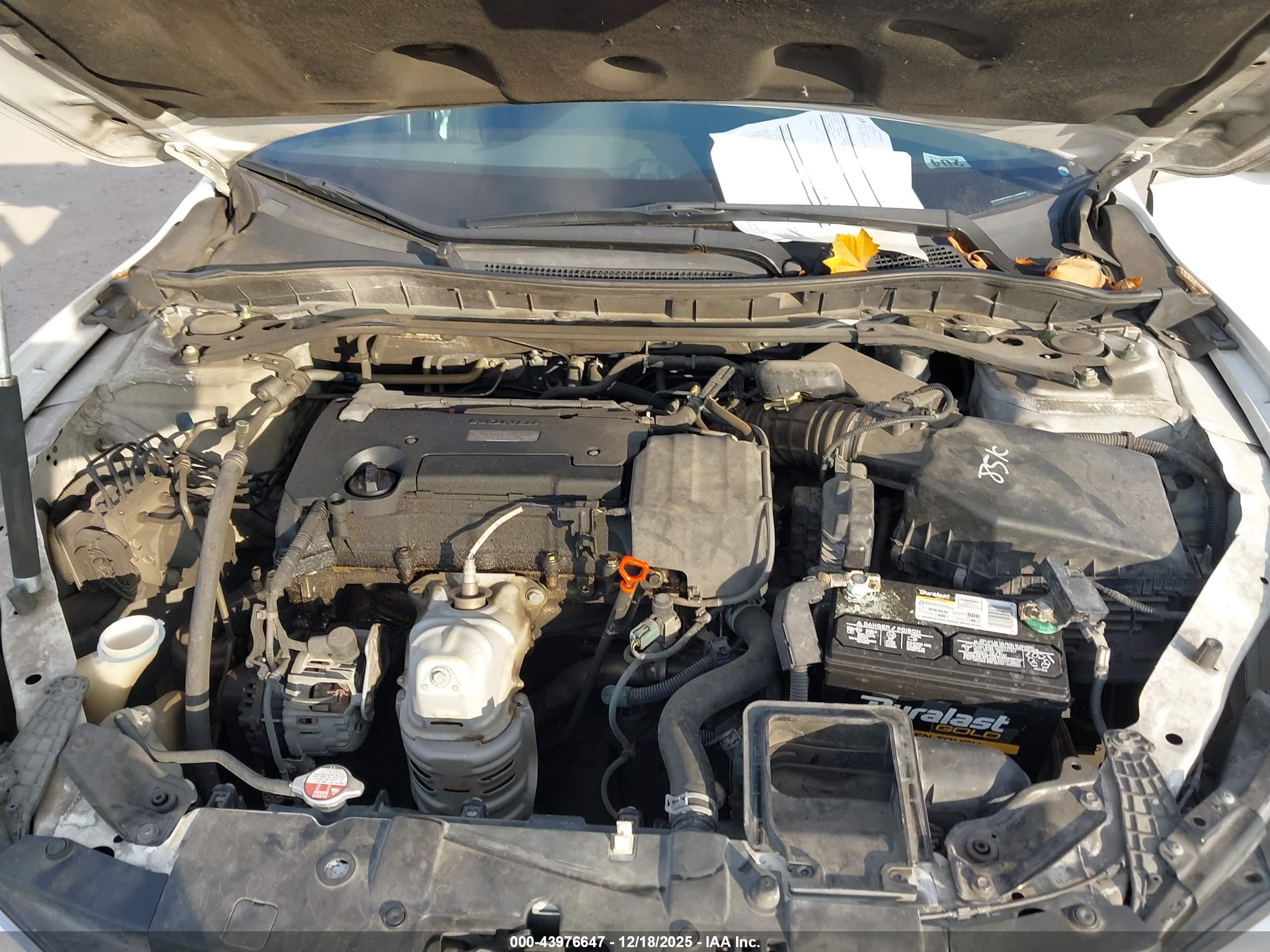 HONDA ACCORD image 10