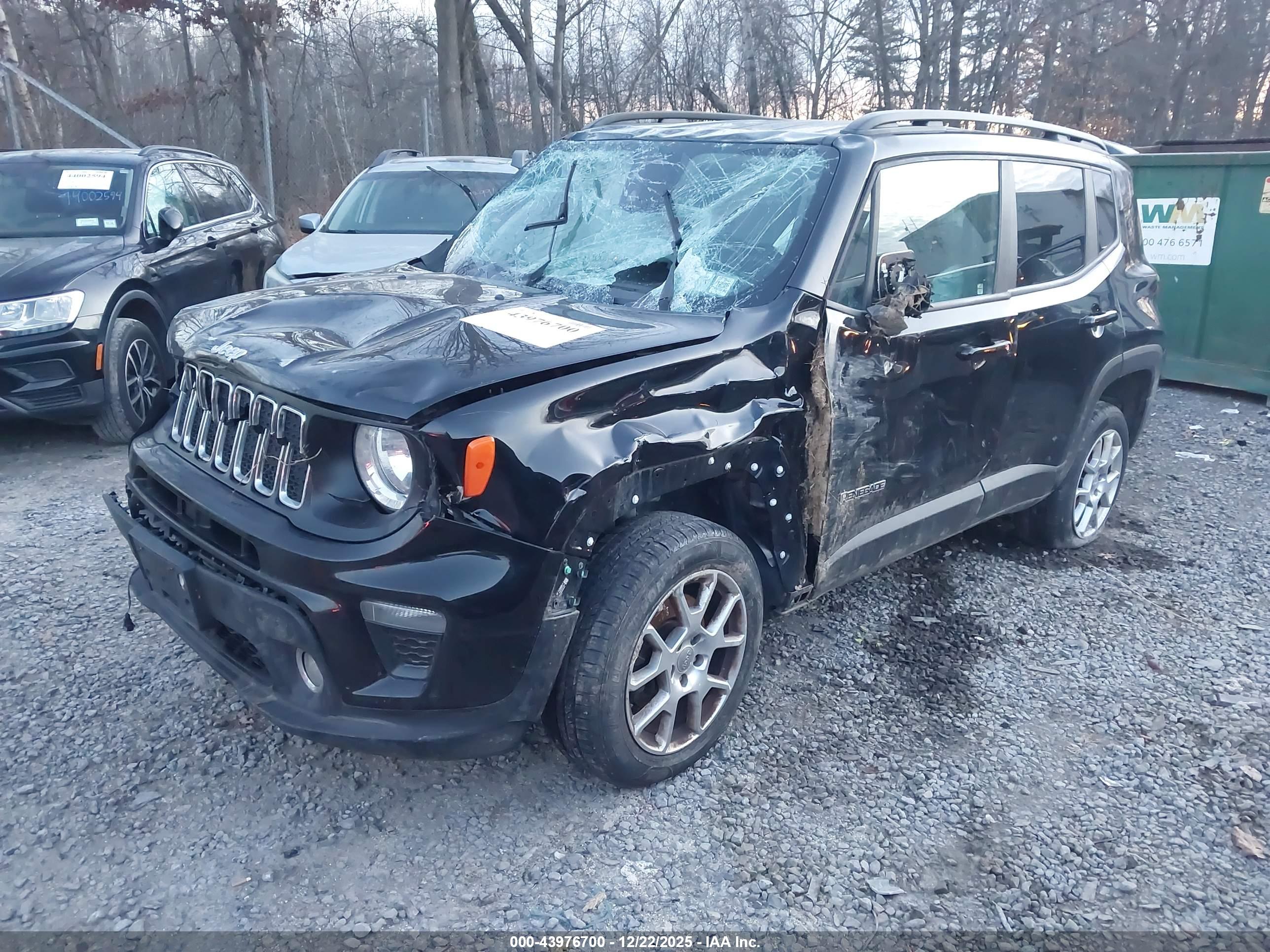 JEEP RENEGADE image 2