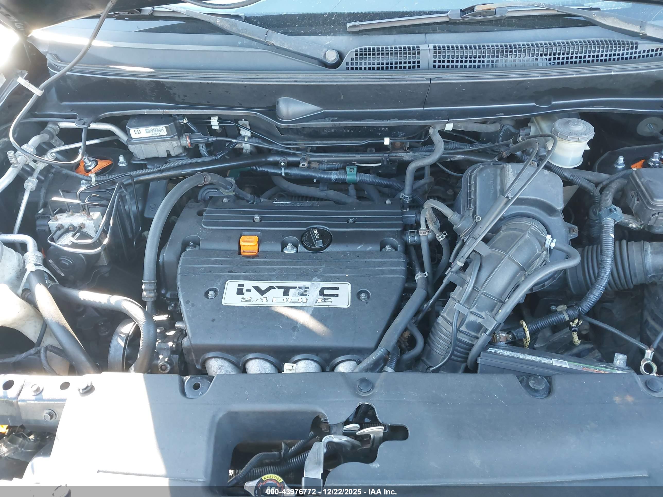 HONDA ELEMENT image 10