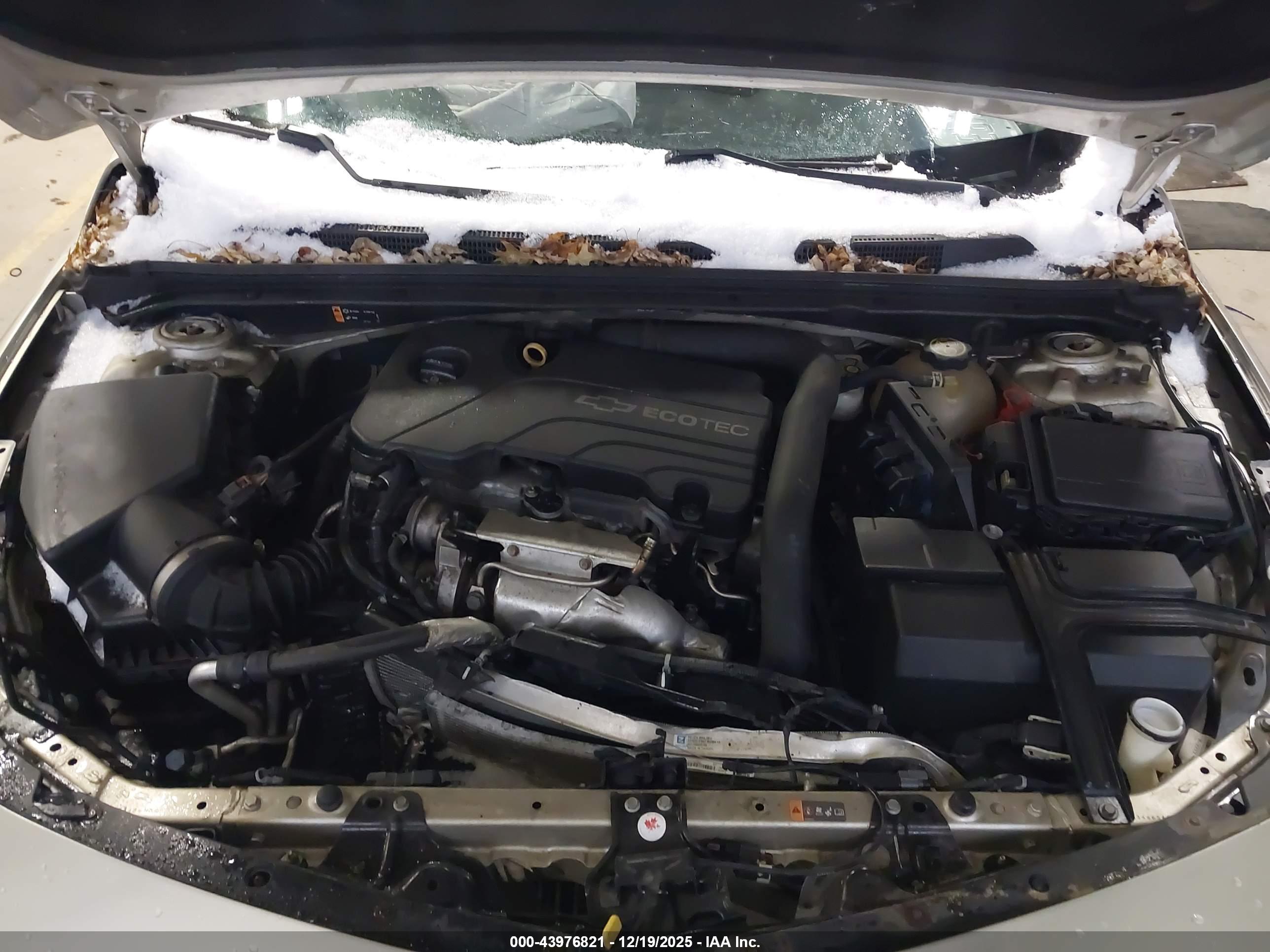 CHEVROLET MALIBU image 10