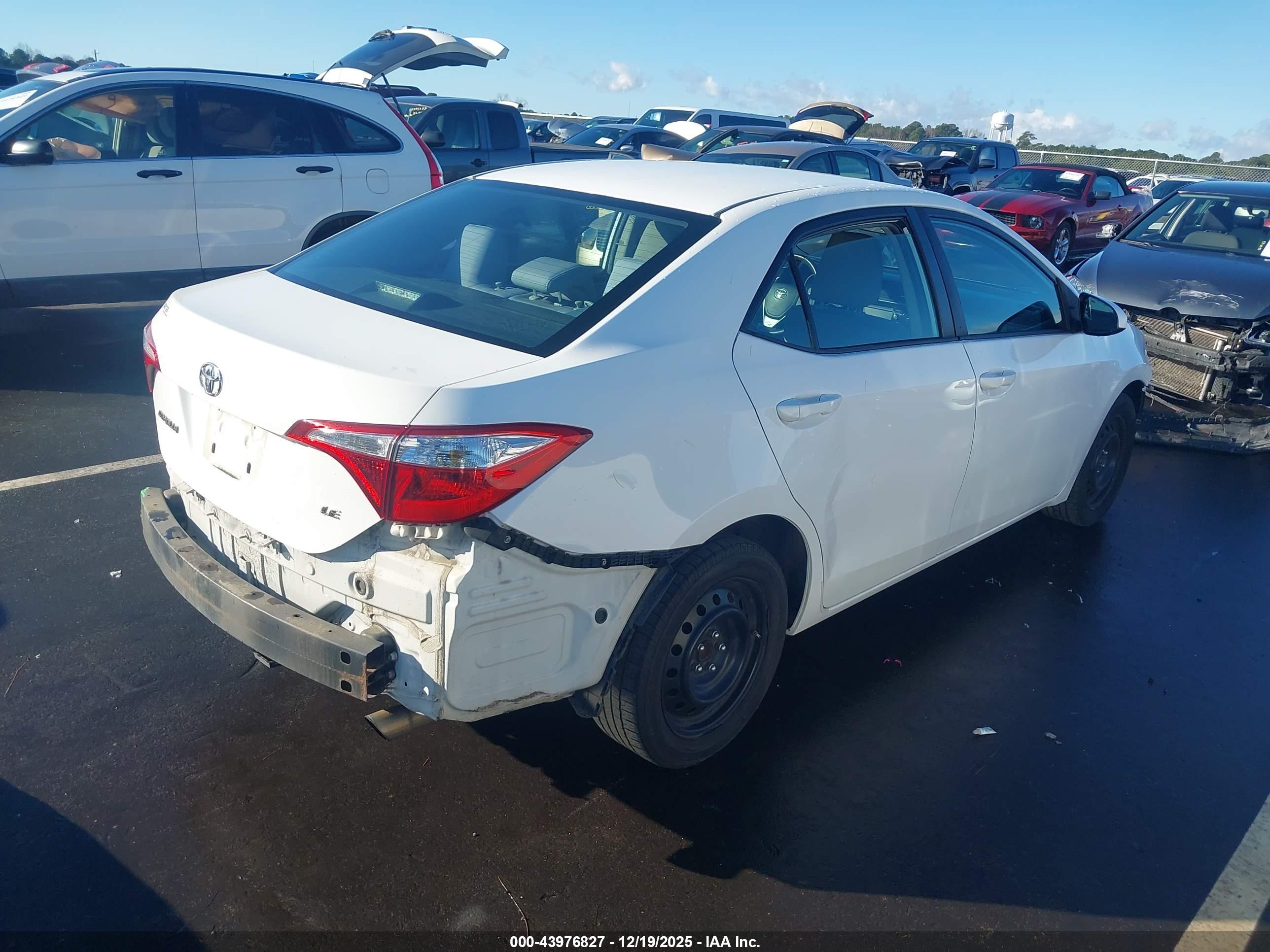 TOYOTA COROLLA image 4