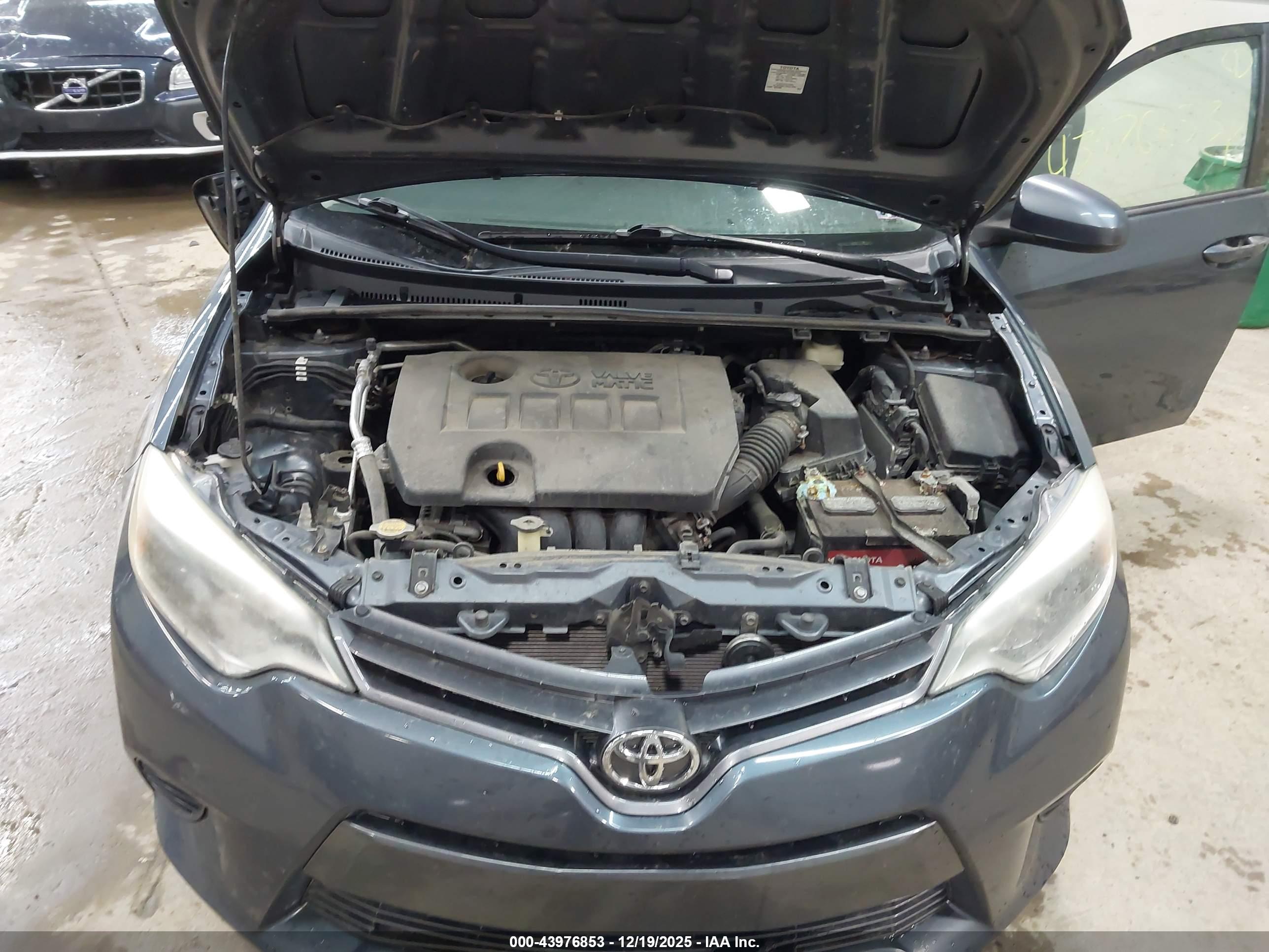 TOYOTA COROLLA image 10