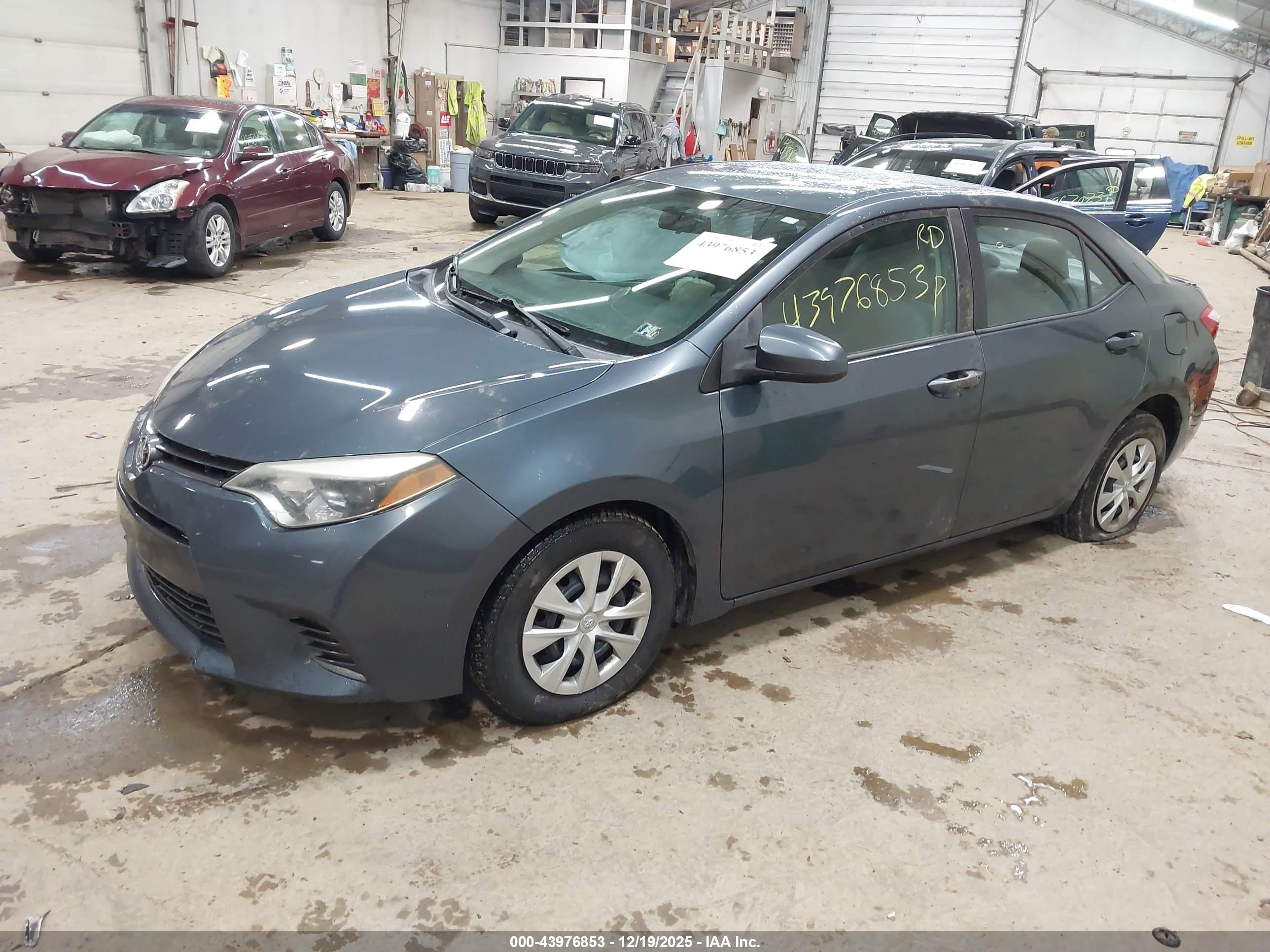 TOYOTA COROLLA image 2