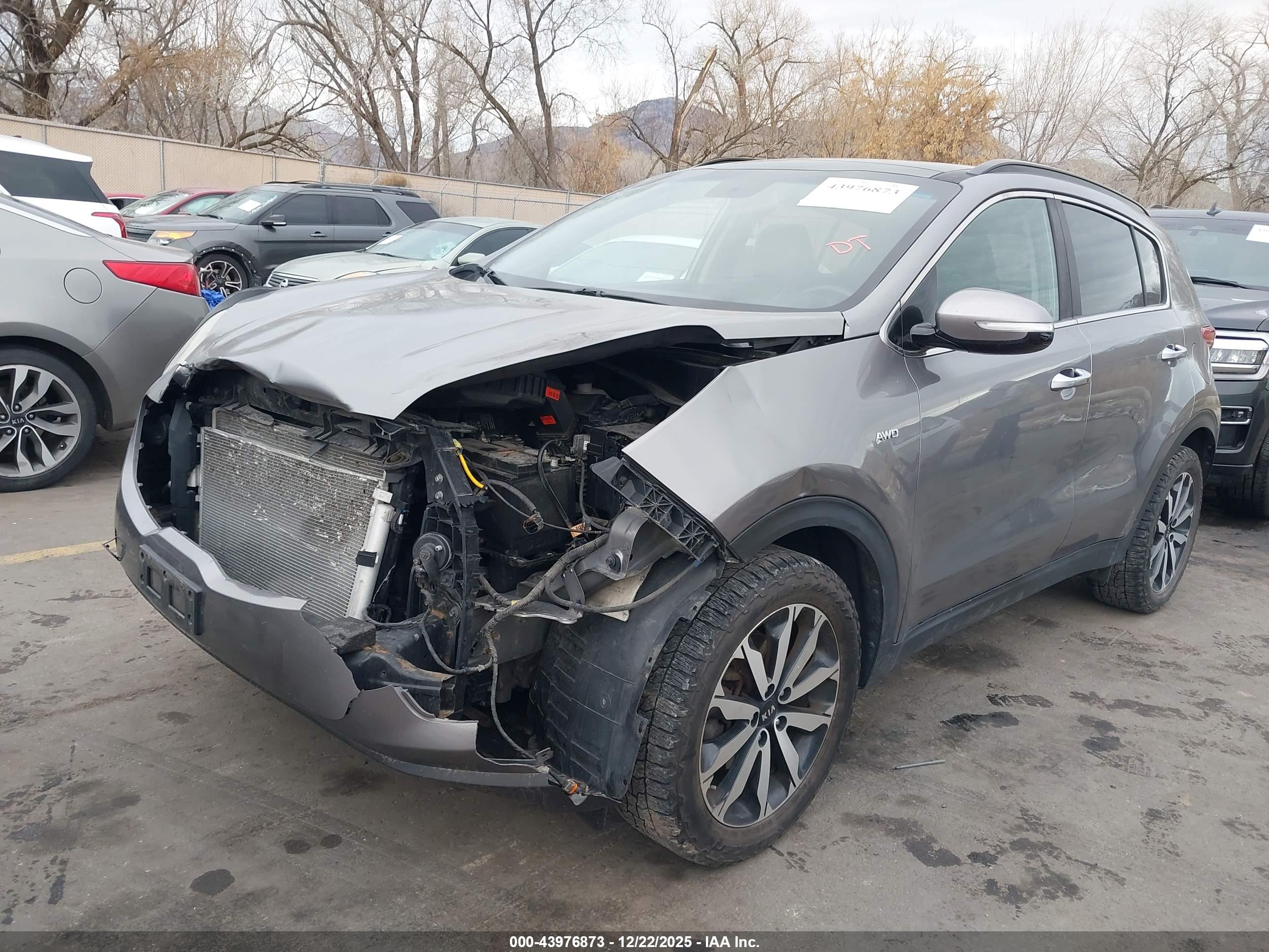 KIA SPORTAGE image 2
