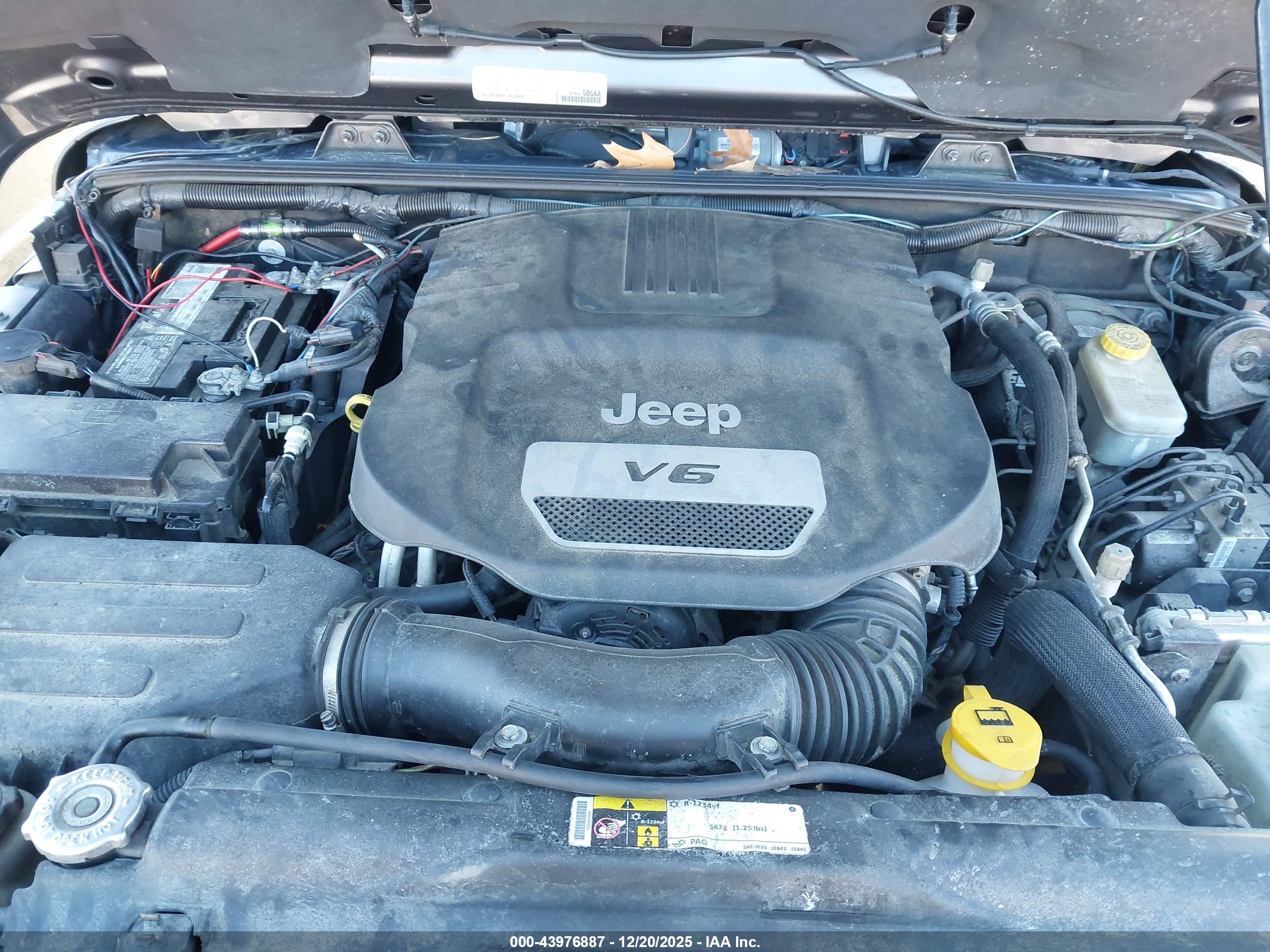 JEEP WRANGLER image 10