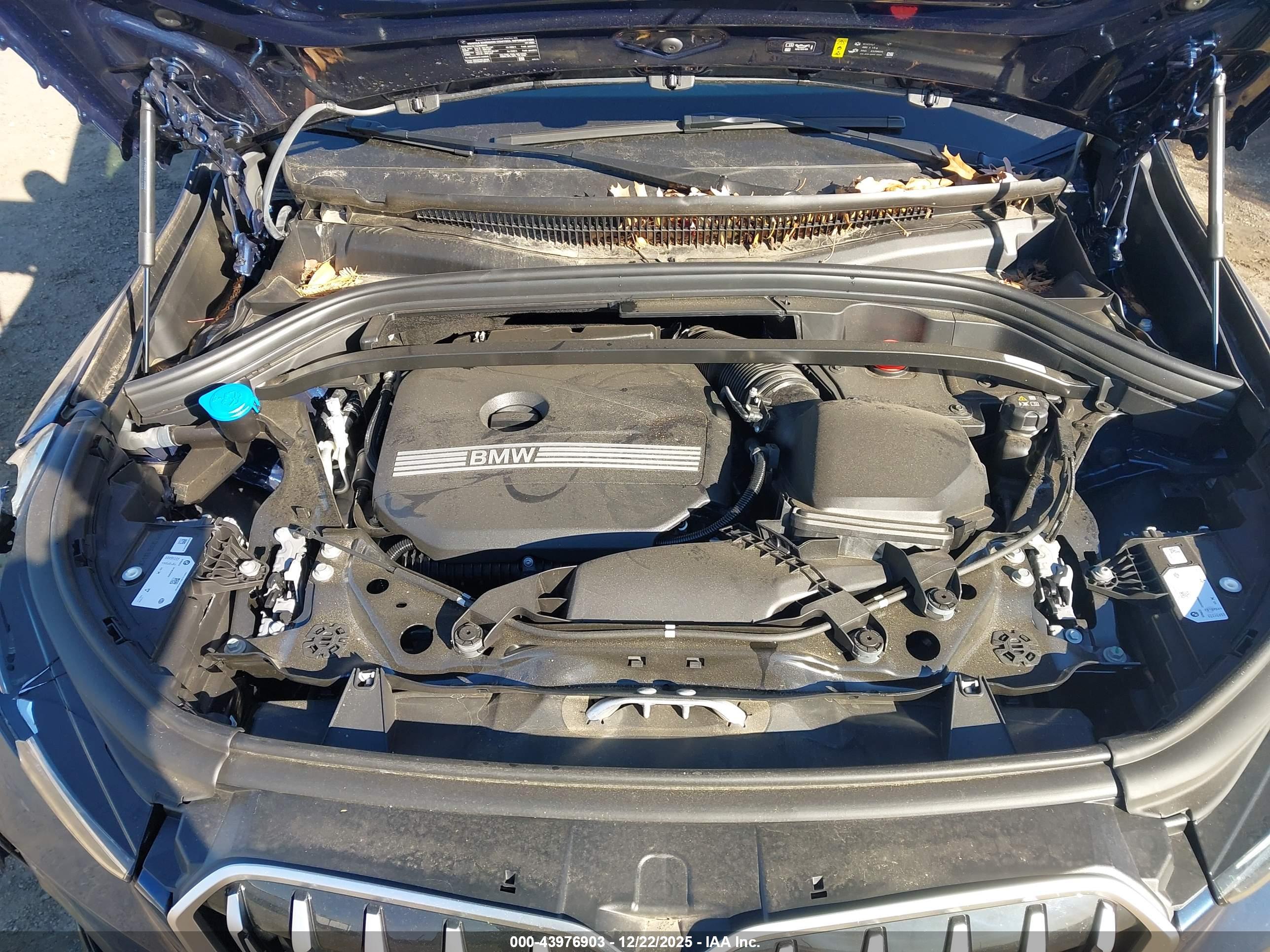 BMW X1 image 10