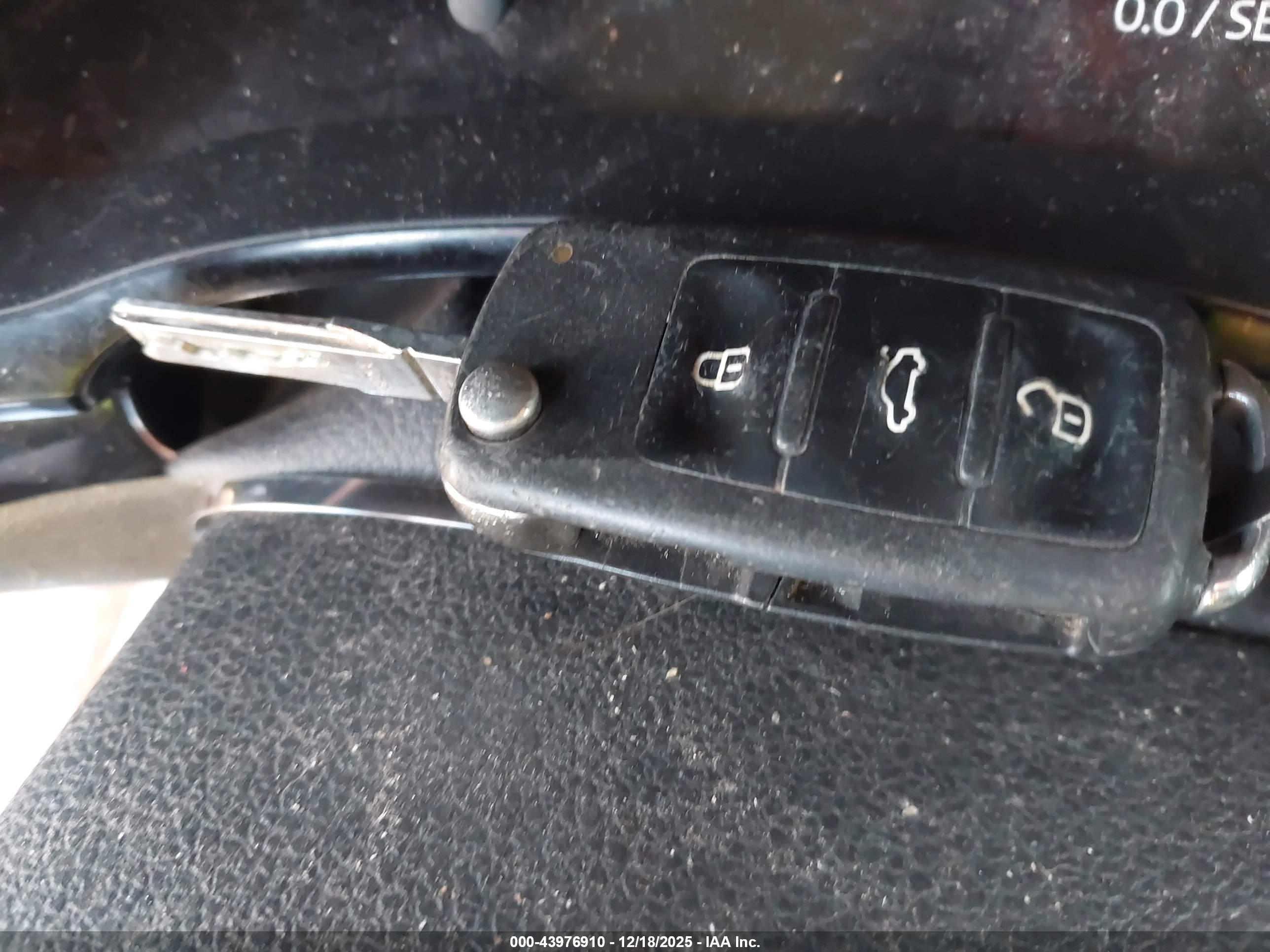 VOLKSWAGEN BEETLE image 11