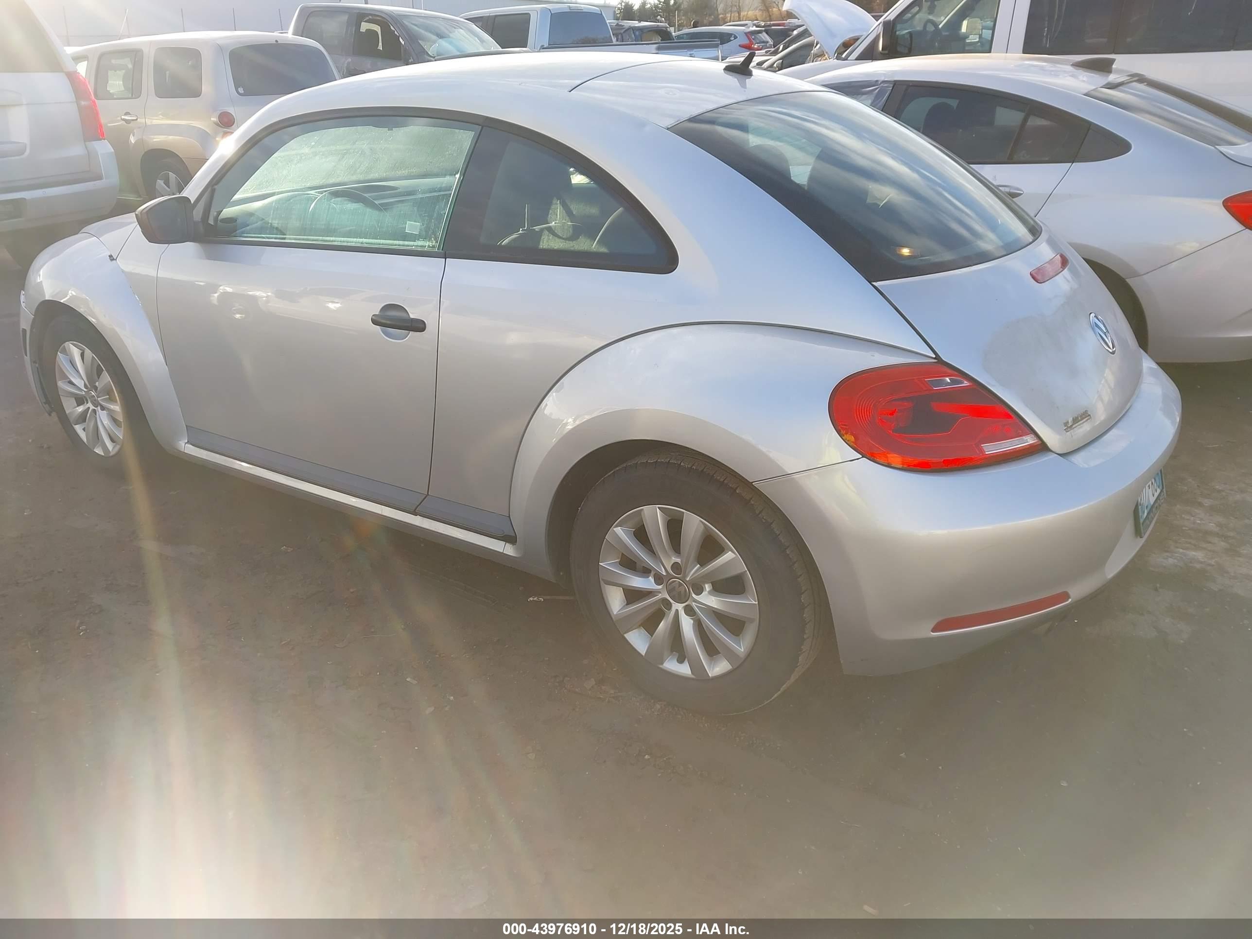 VOLKSWAGEN BEETLE image 3