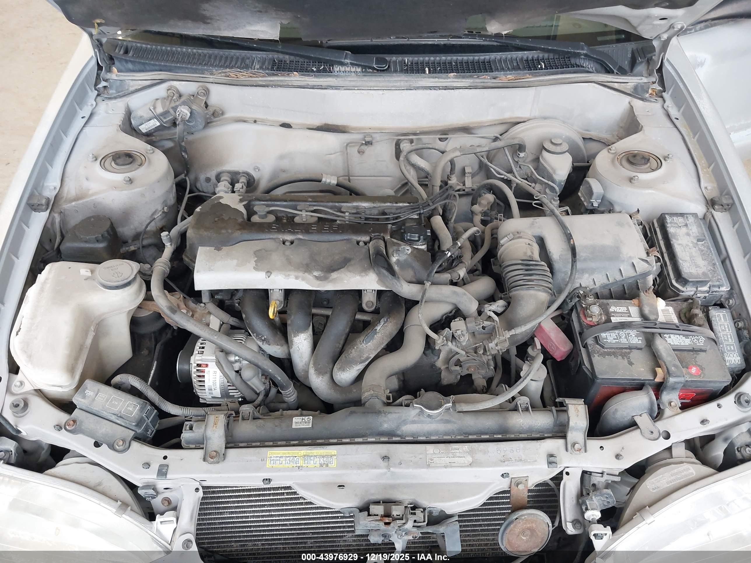 TOYOTA COROLLA image 10
