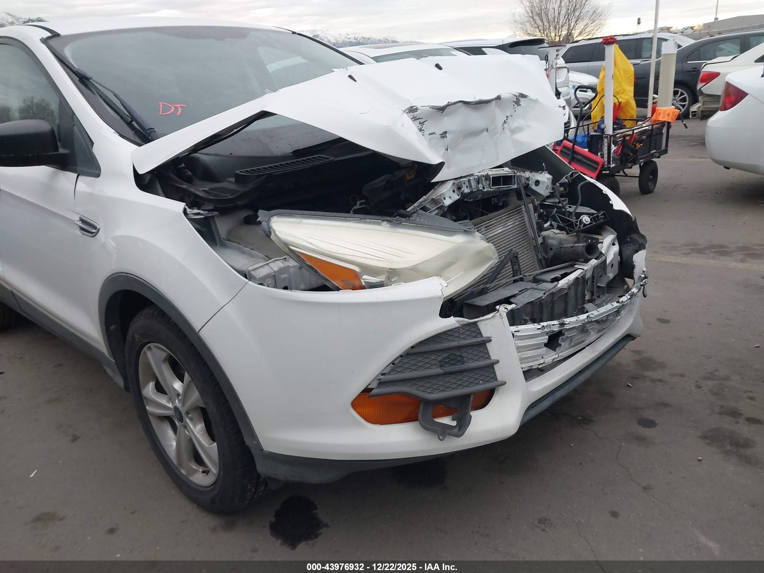 FORD ESCAPE image 6