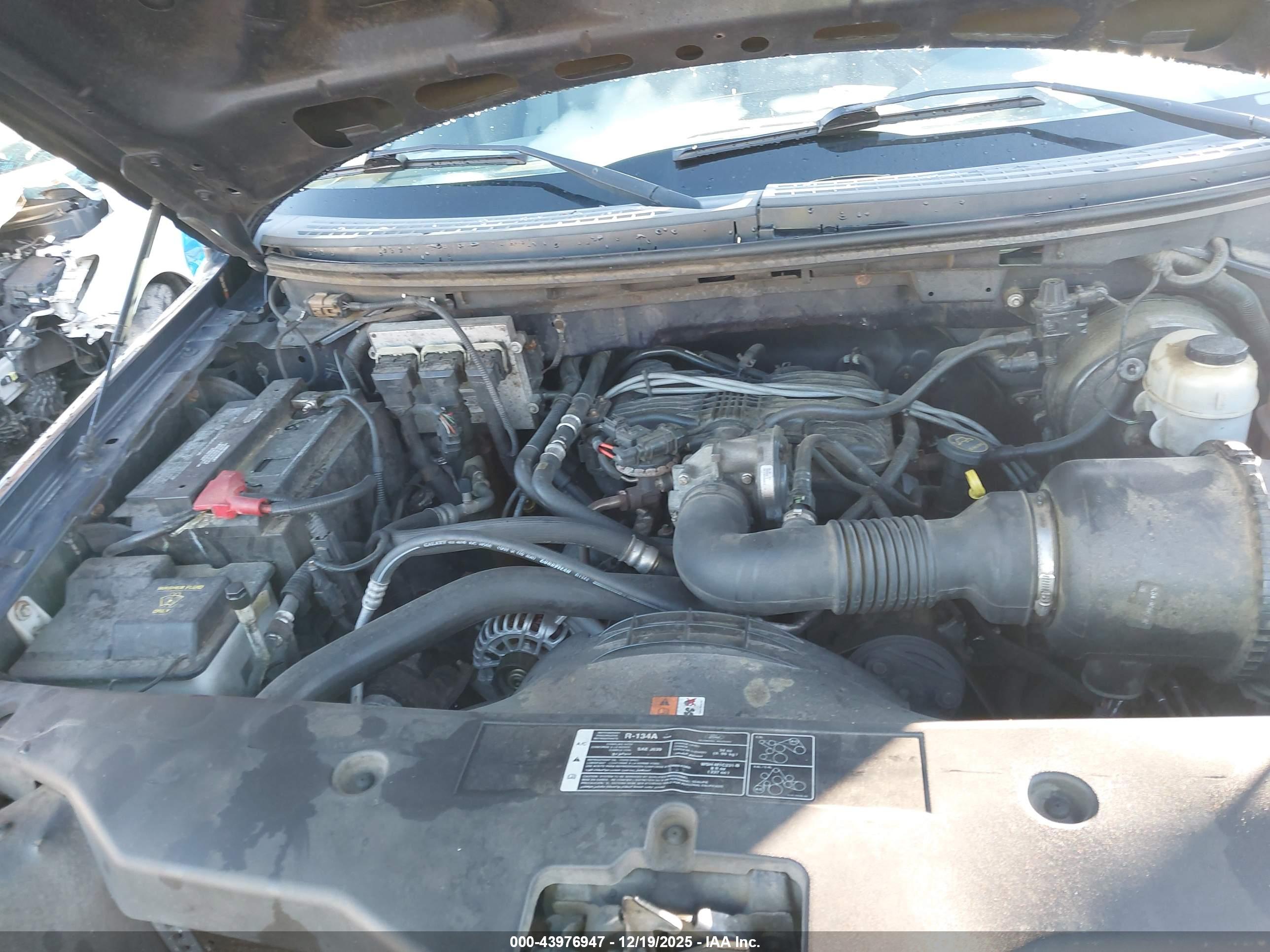 FORD F-150 image 10