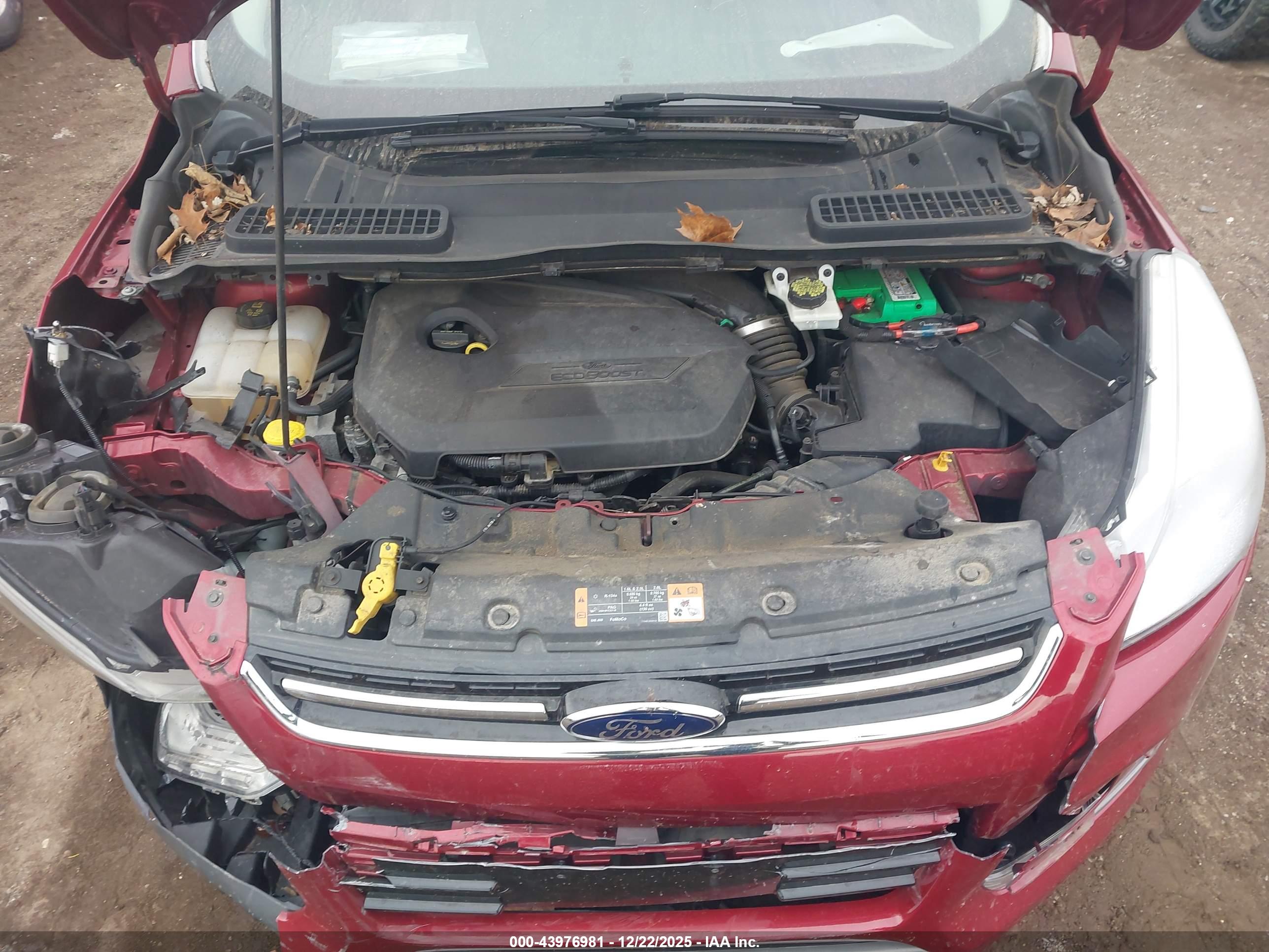 FORD ESCAPE image 10