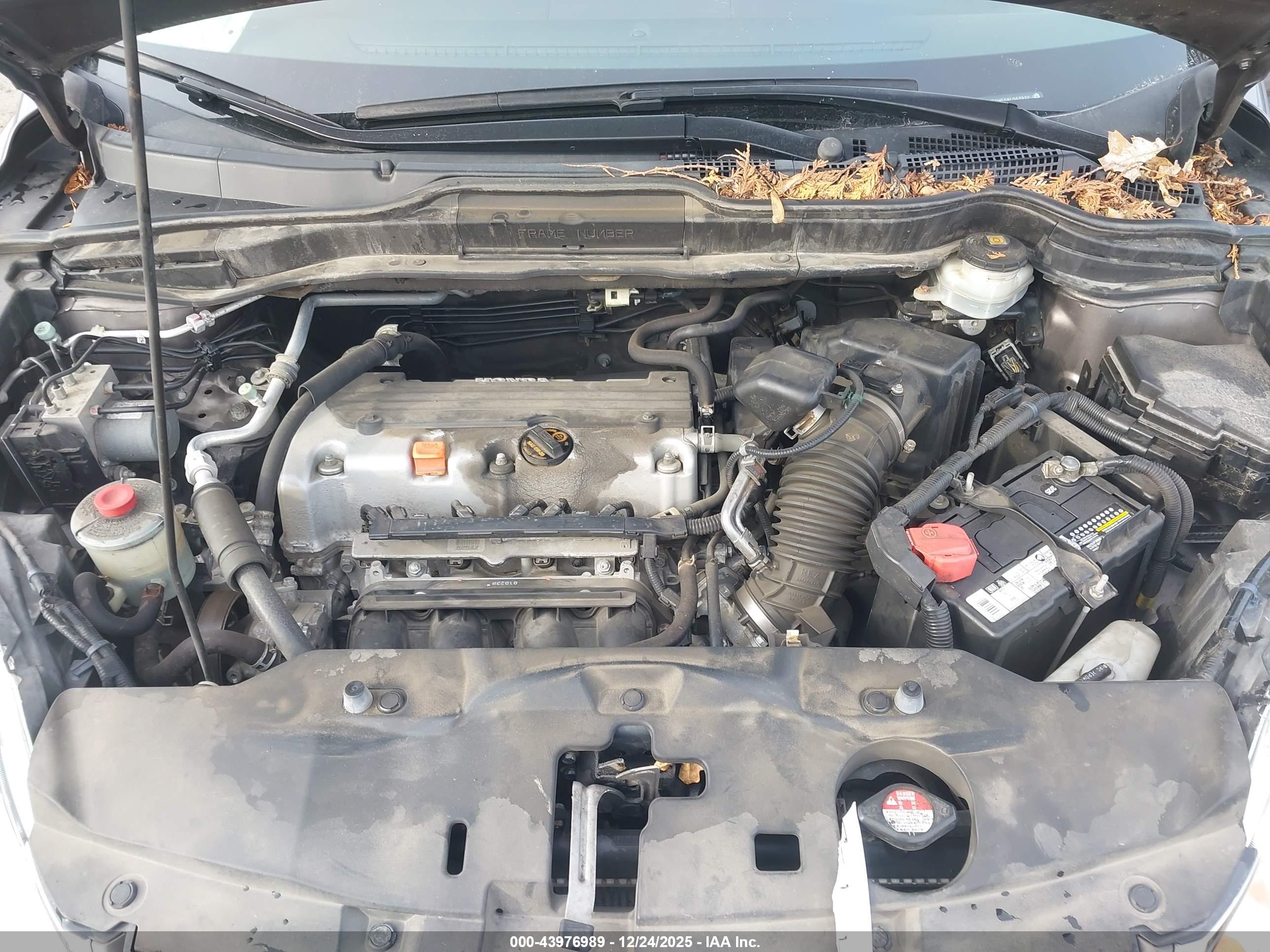 HONDA CR-V image 10