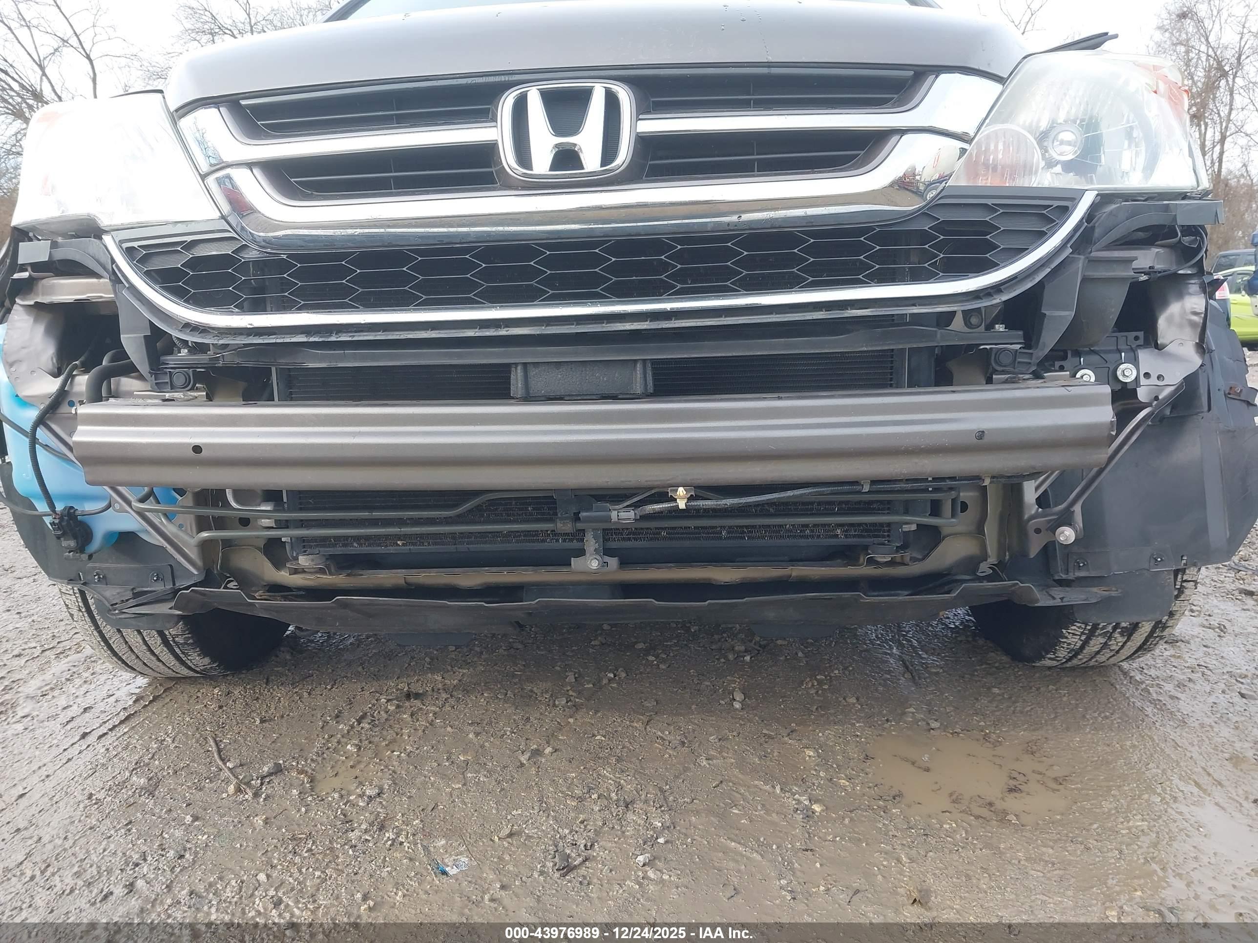 HONDA CR-V image 6