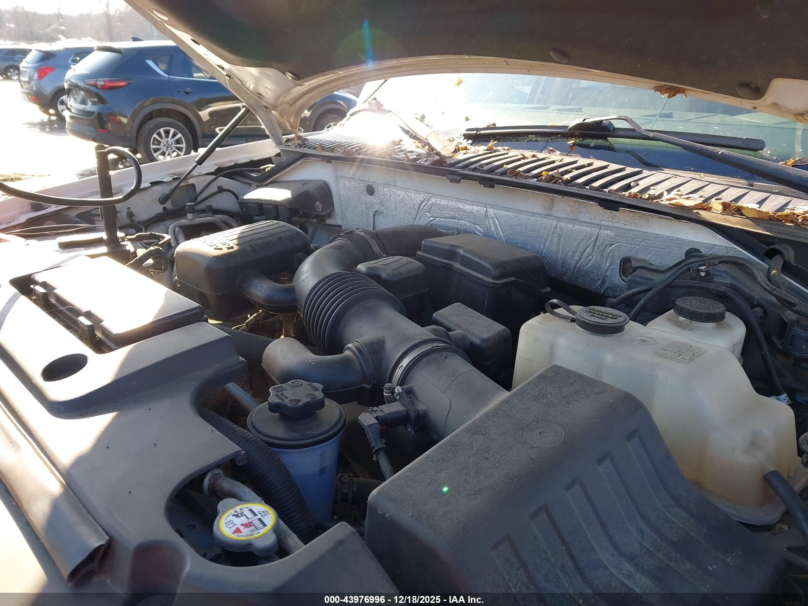 FORD EXPEDITION image 10