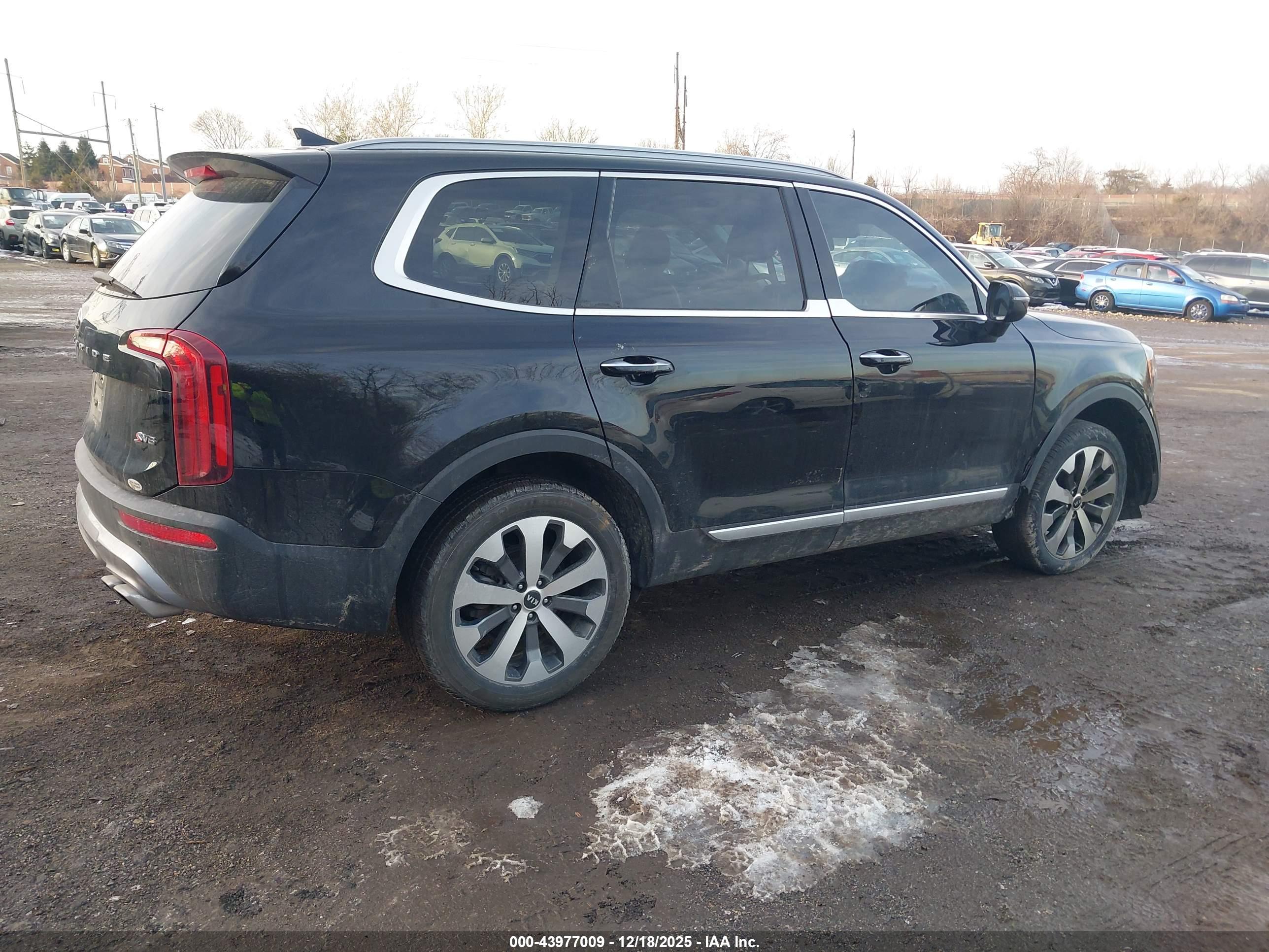 KIA TELLURIDE image 4