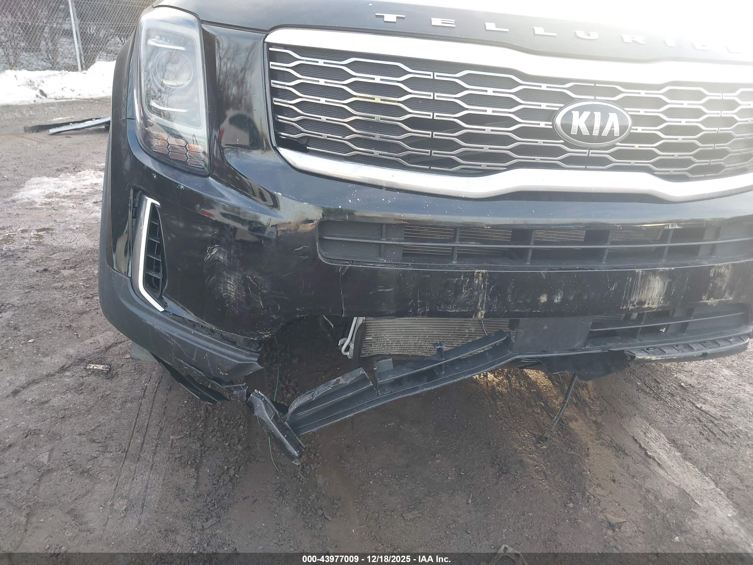 KIA TELLURIDE image 6