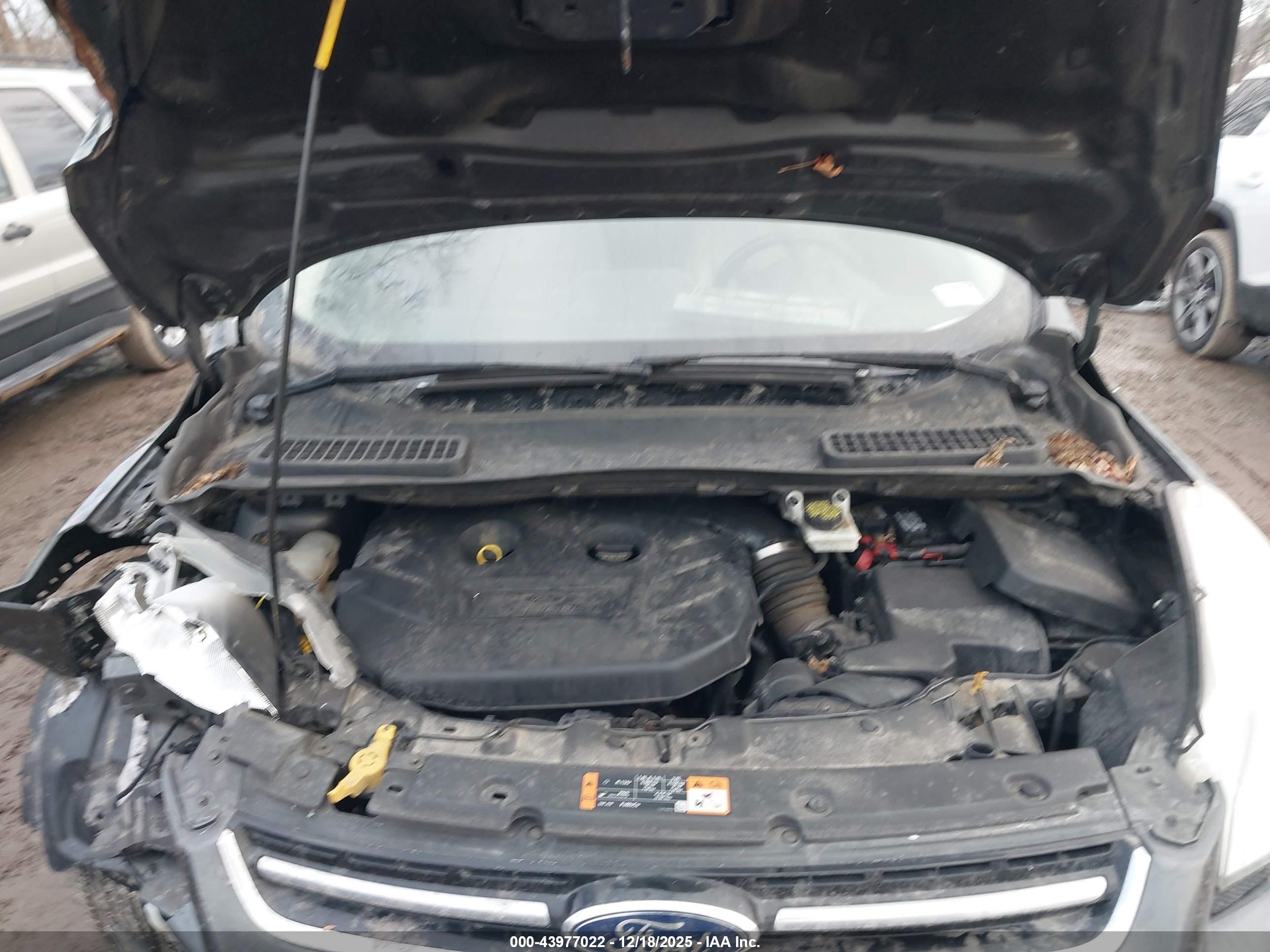 FORD ESCAPE image 10