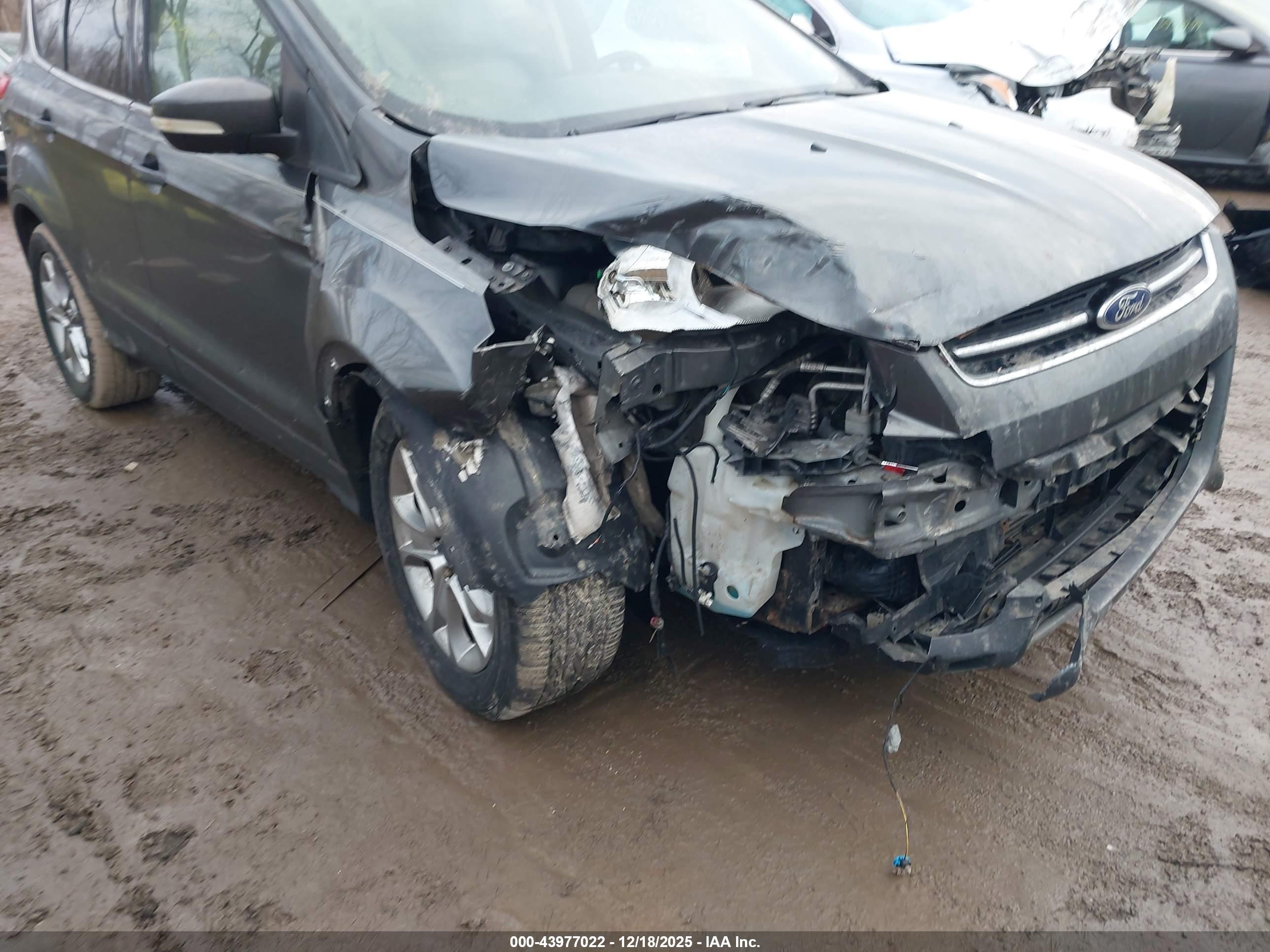 FORD ESCAPE image 6