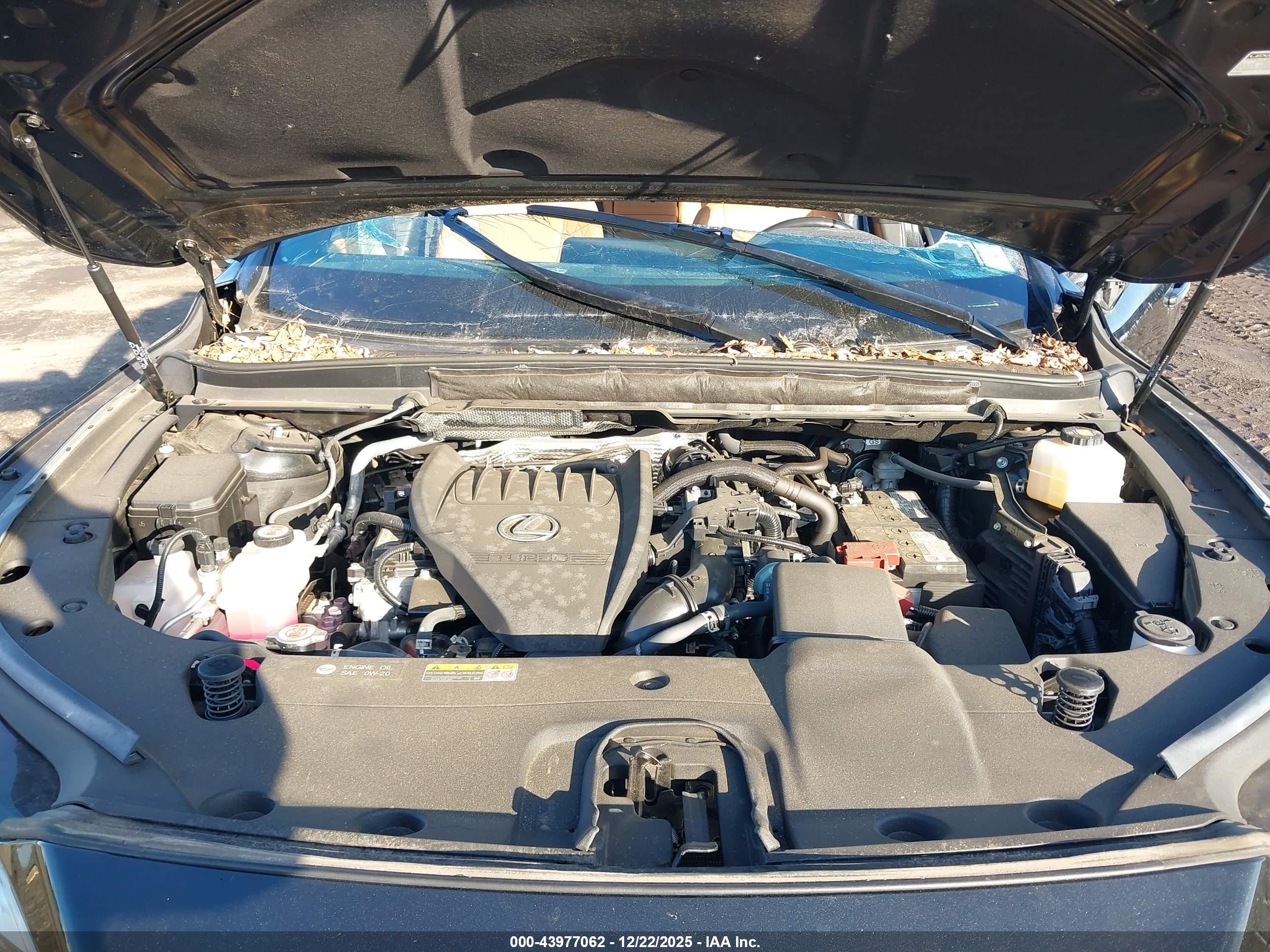 LEXUS RX image 10
