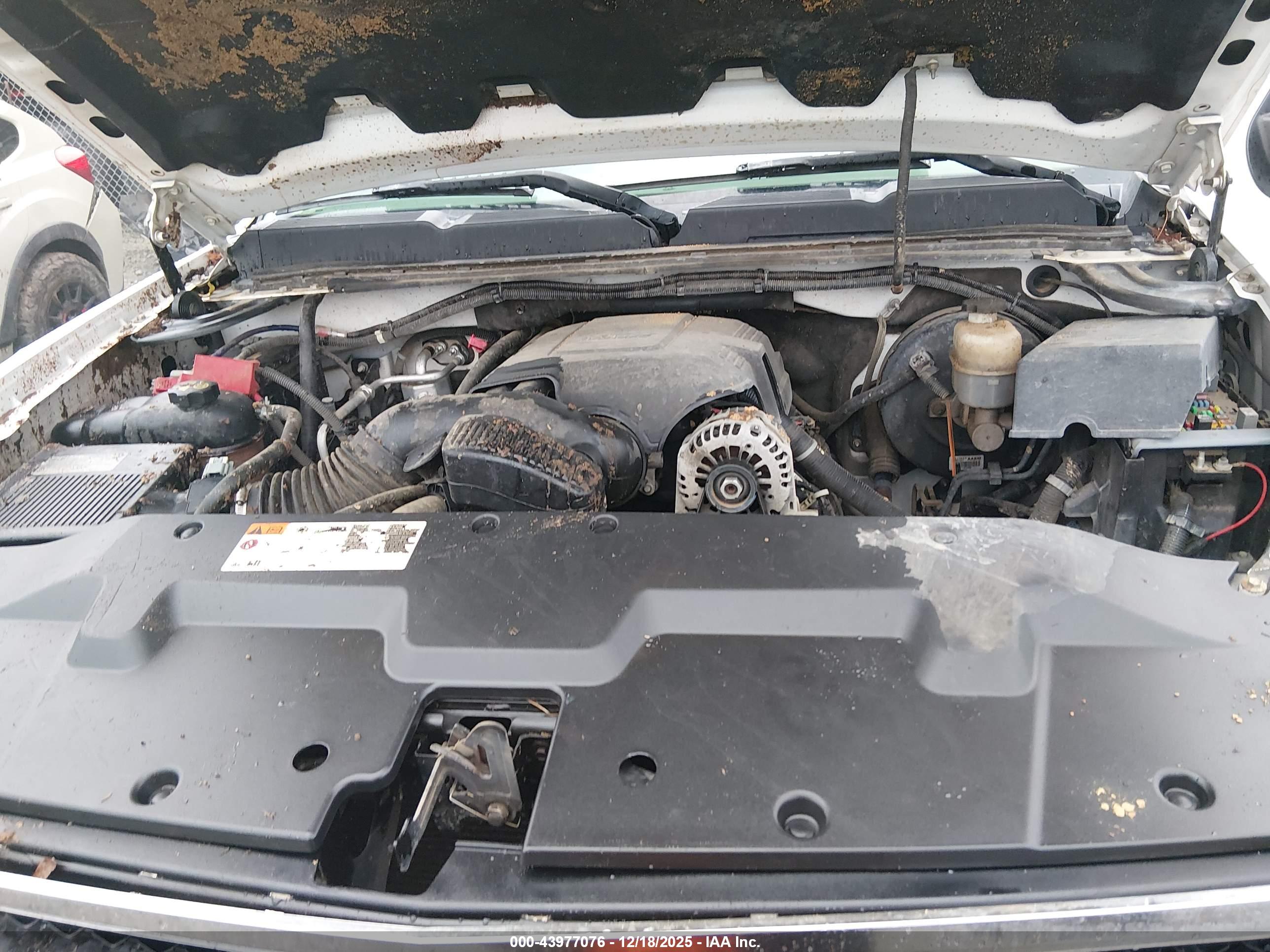 CHEVROLET SILVERADO image 10