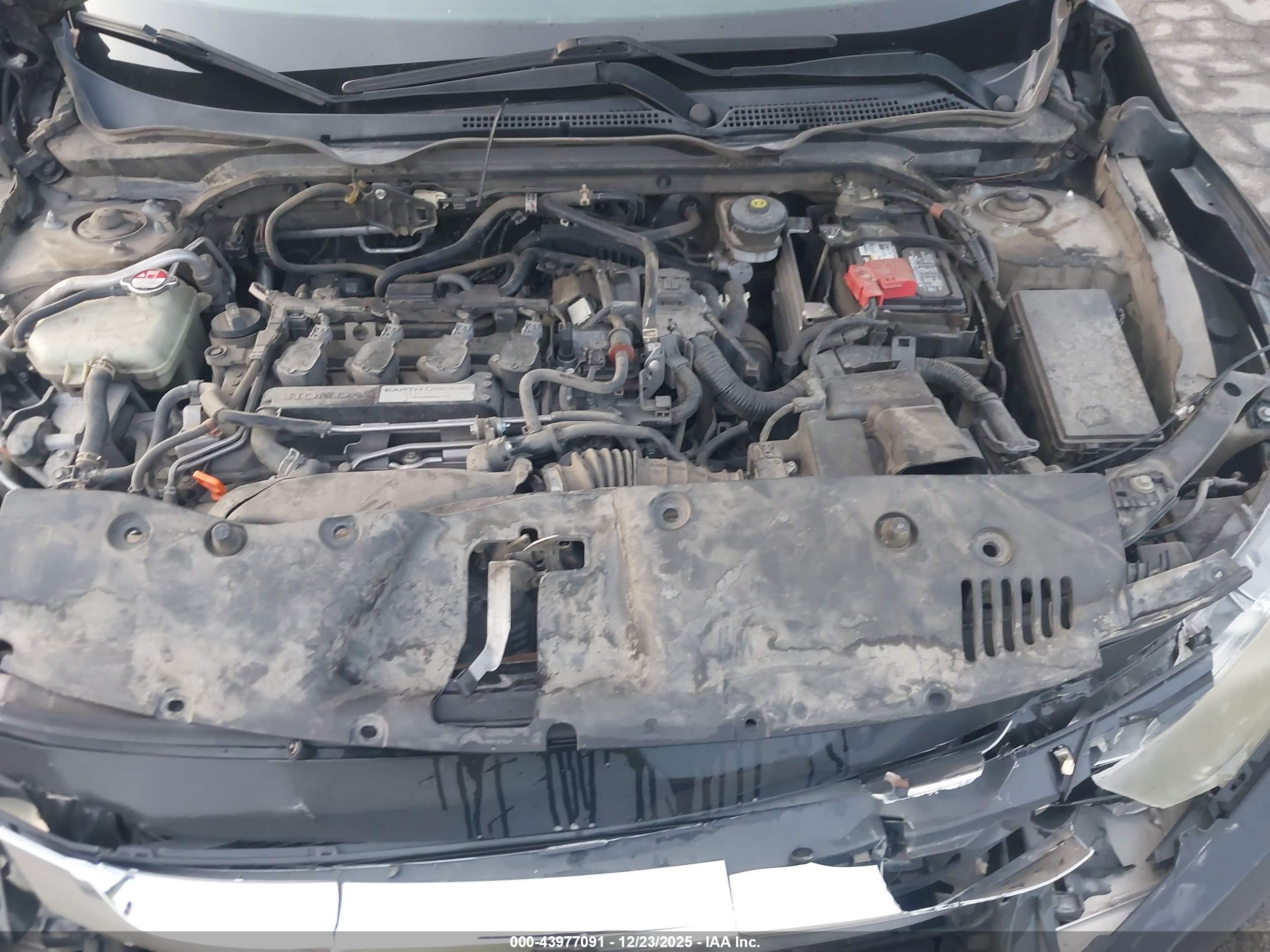 HONDA CIVIC image 10