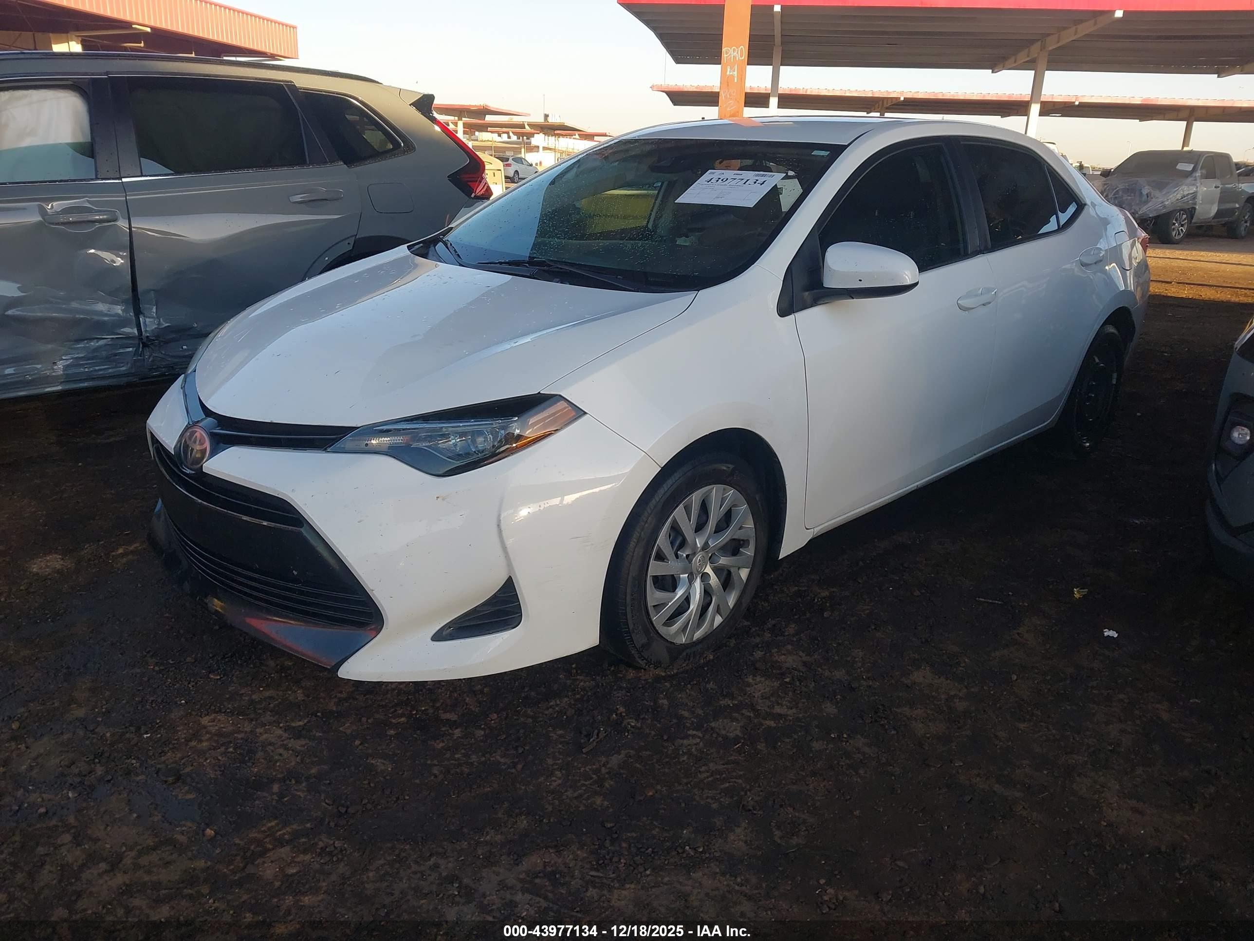TOYOTA COROLLA image 2