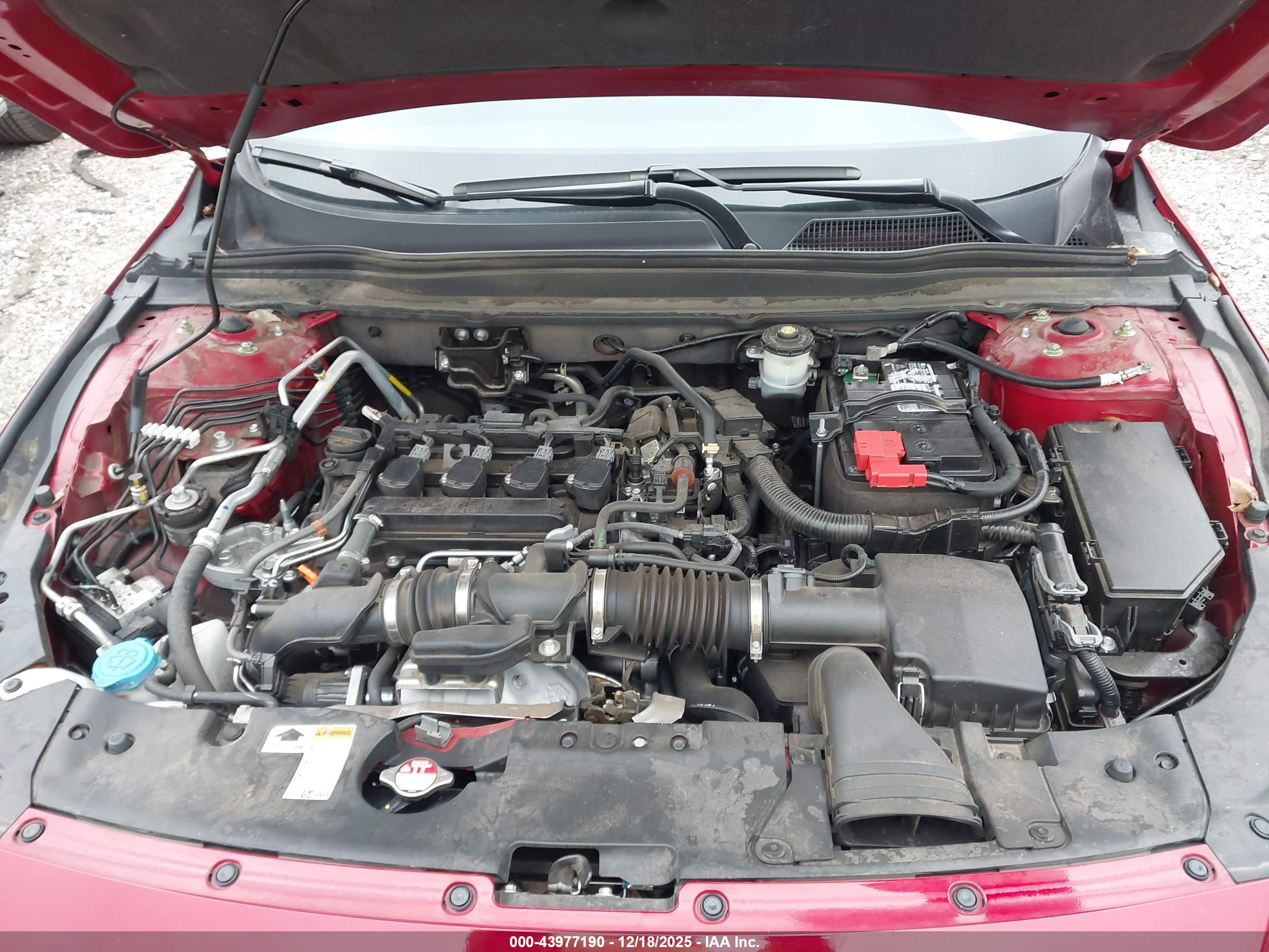 HONDA ACCORD image 10