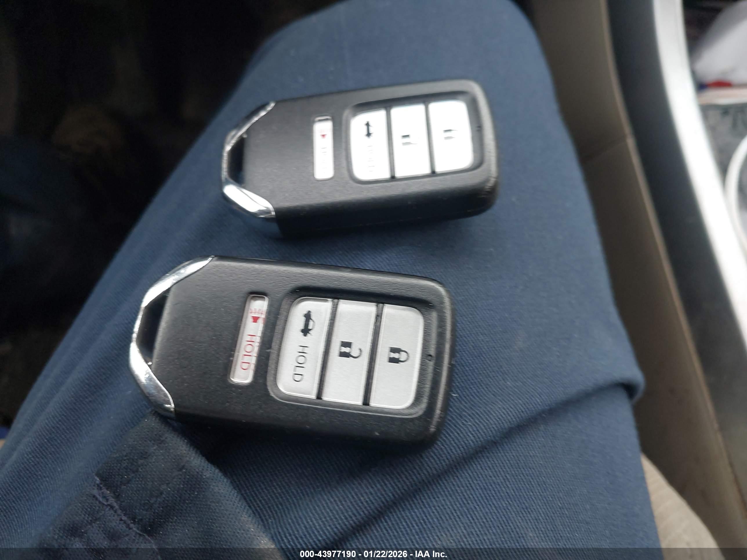 HONDA ACCORD image 11