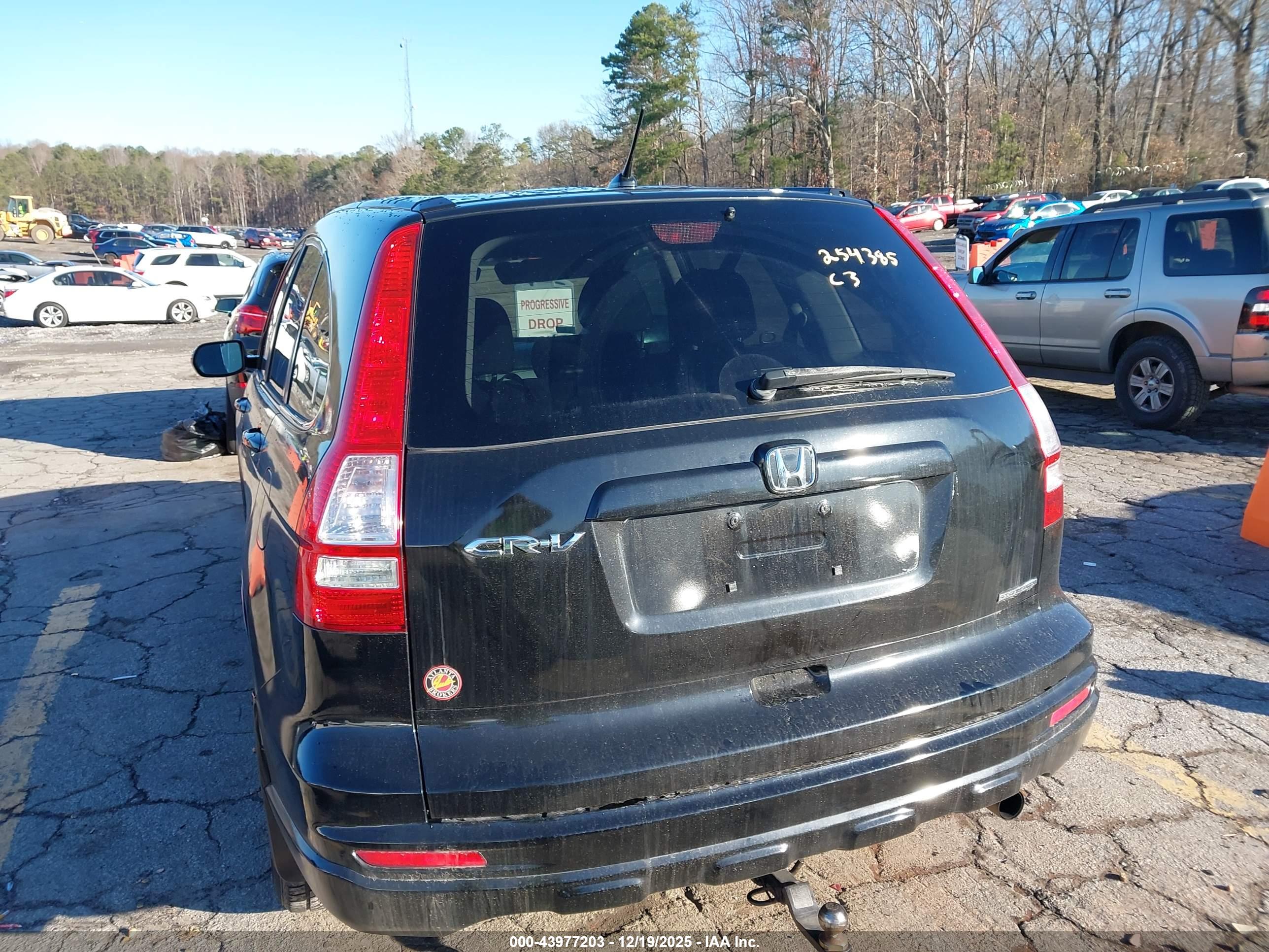 HONDA CR-V image 3