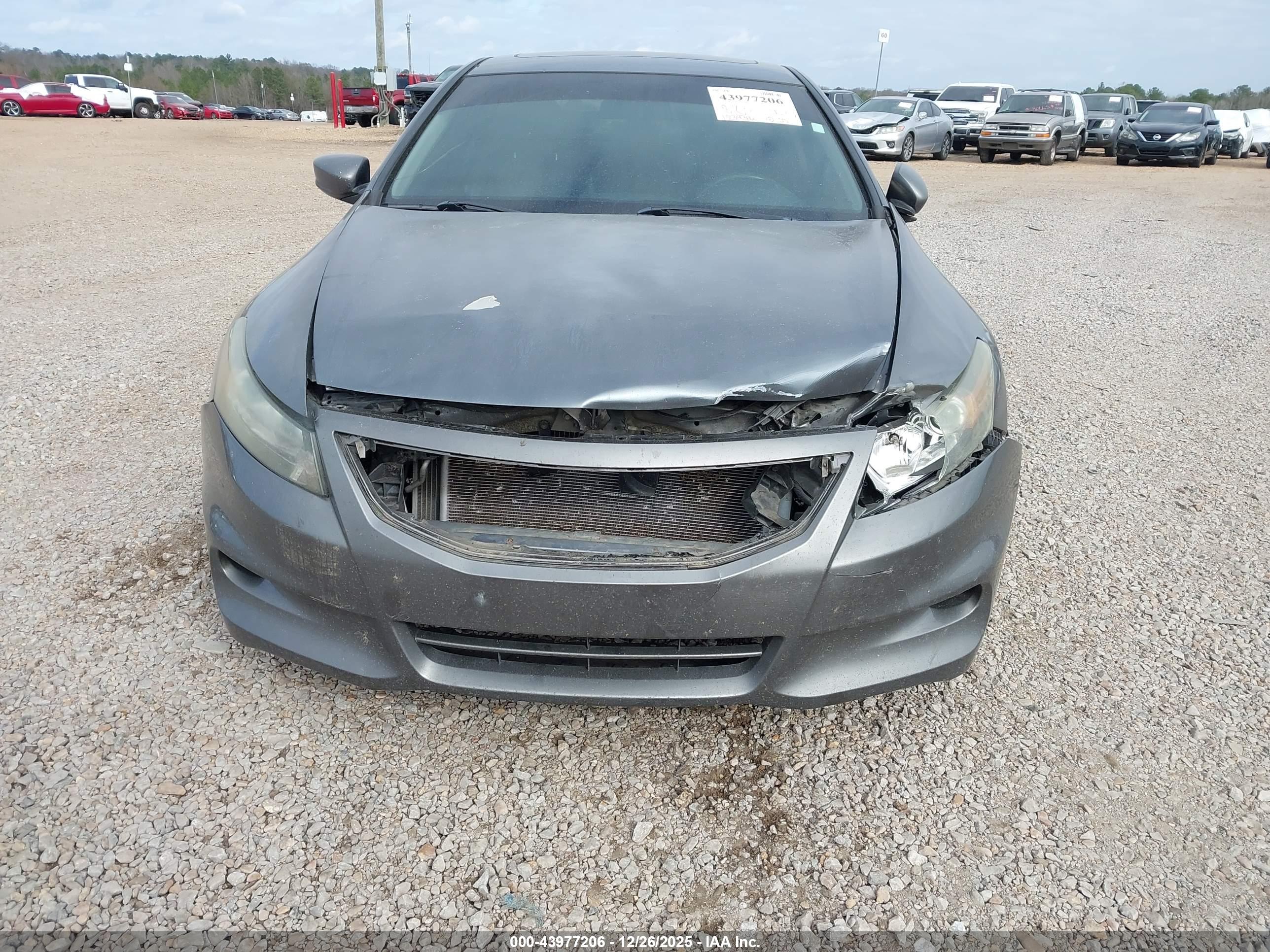 HONDA ACCORD image 6