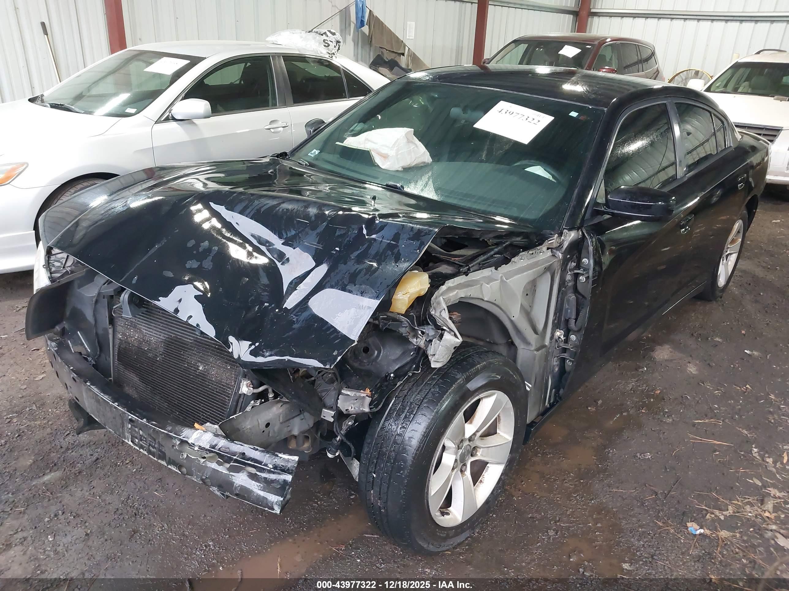 DODGE CHARGER image 2