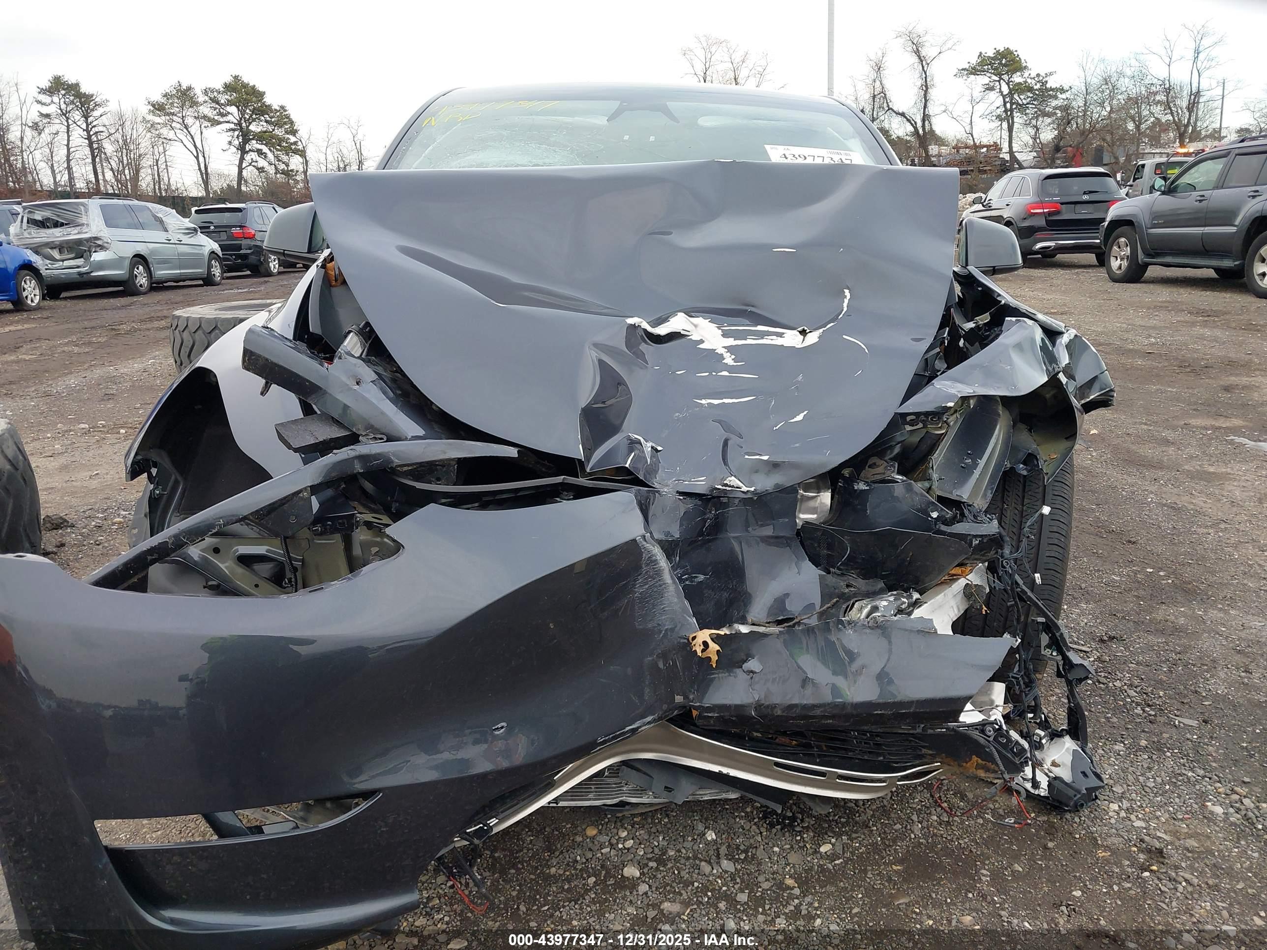 TESLA MODEL image 6