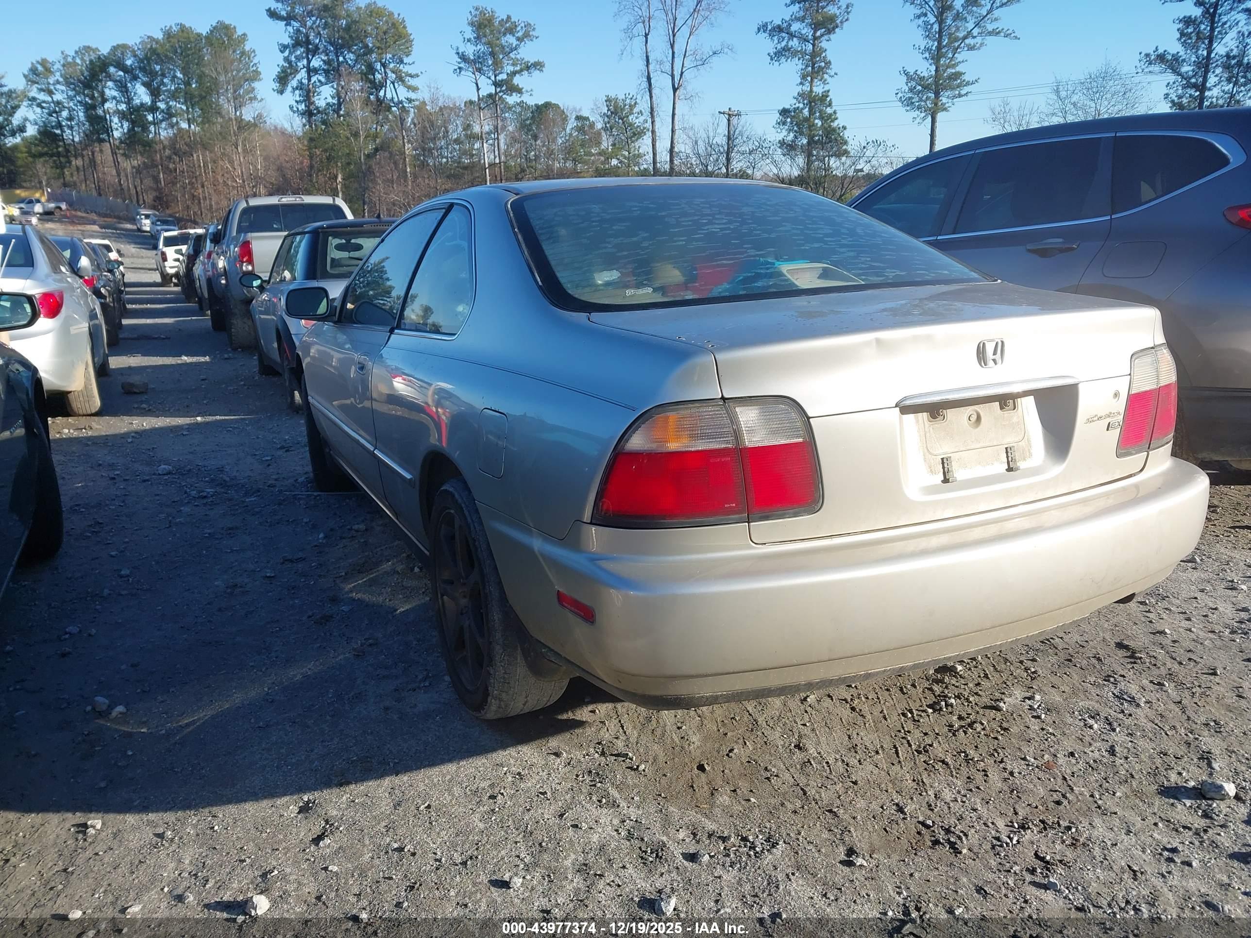 HONDA ACCORD image 3